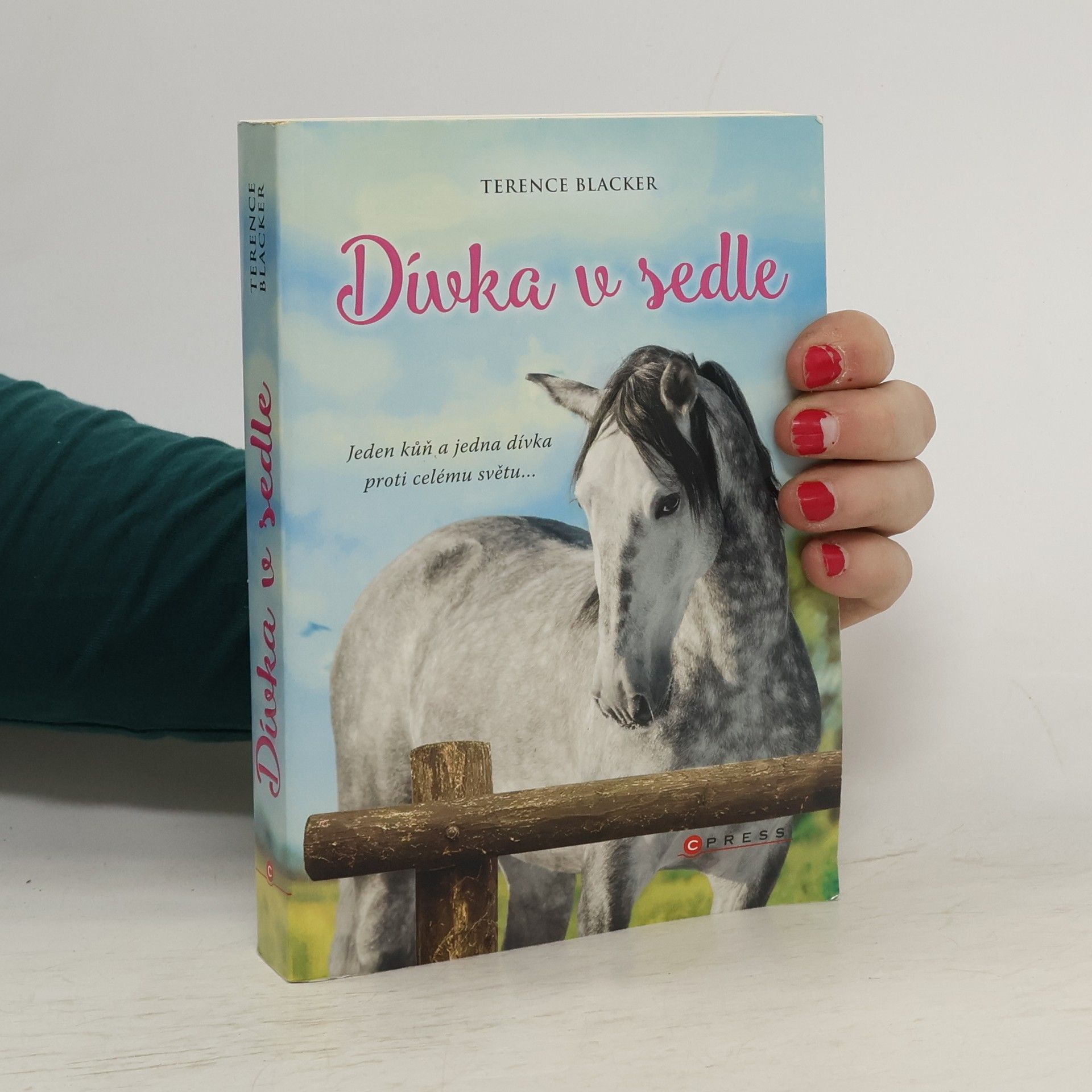 Terence Blacker Dívka v sedle