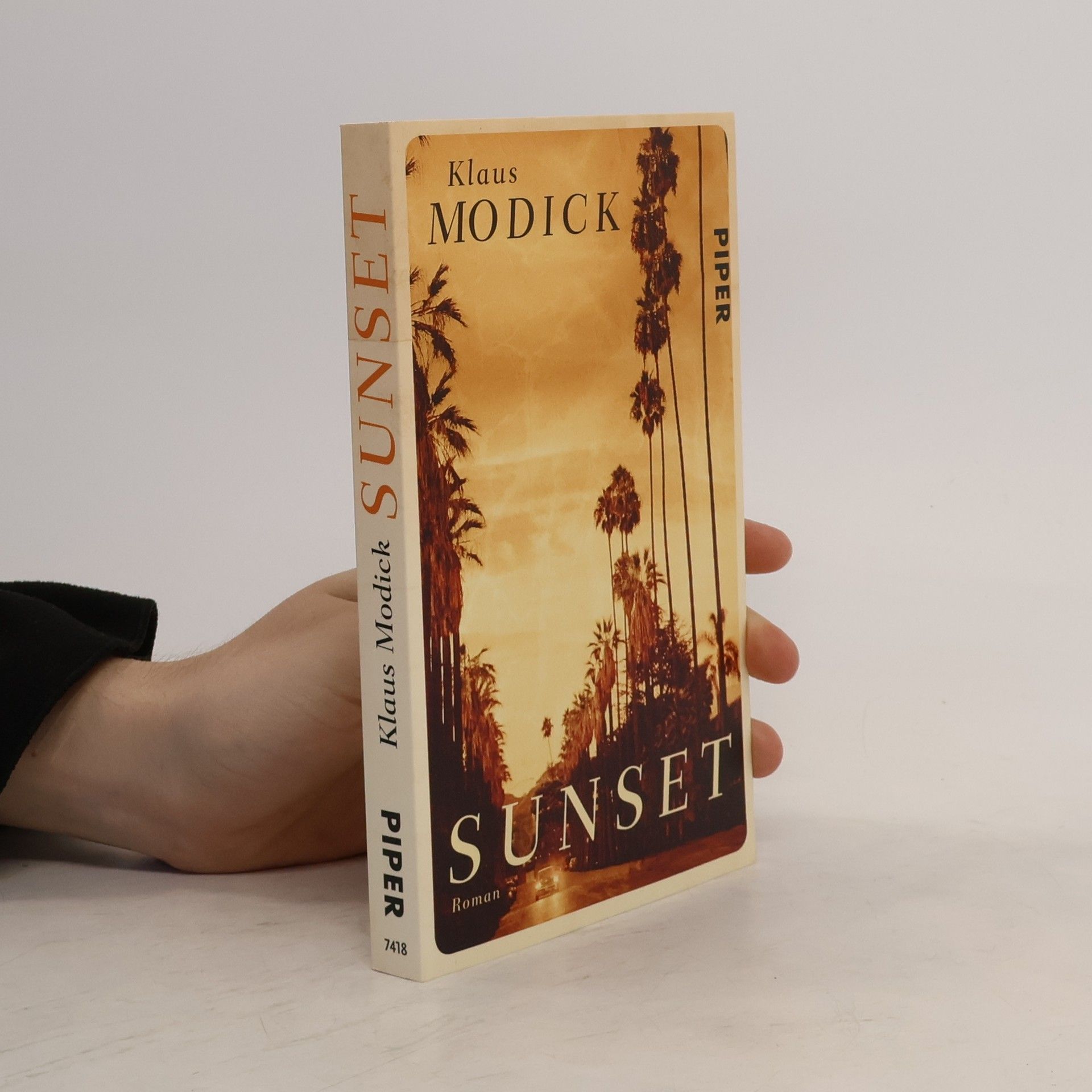 Klaus Modick Sunset