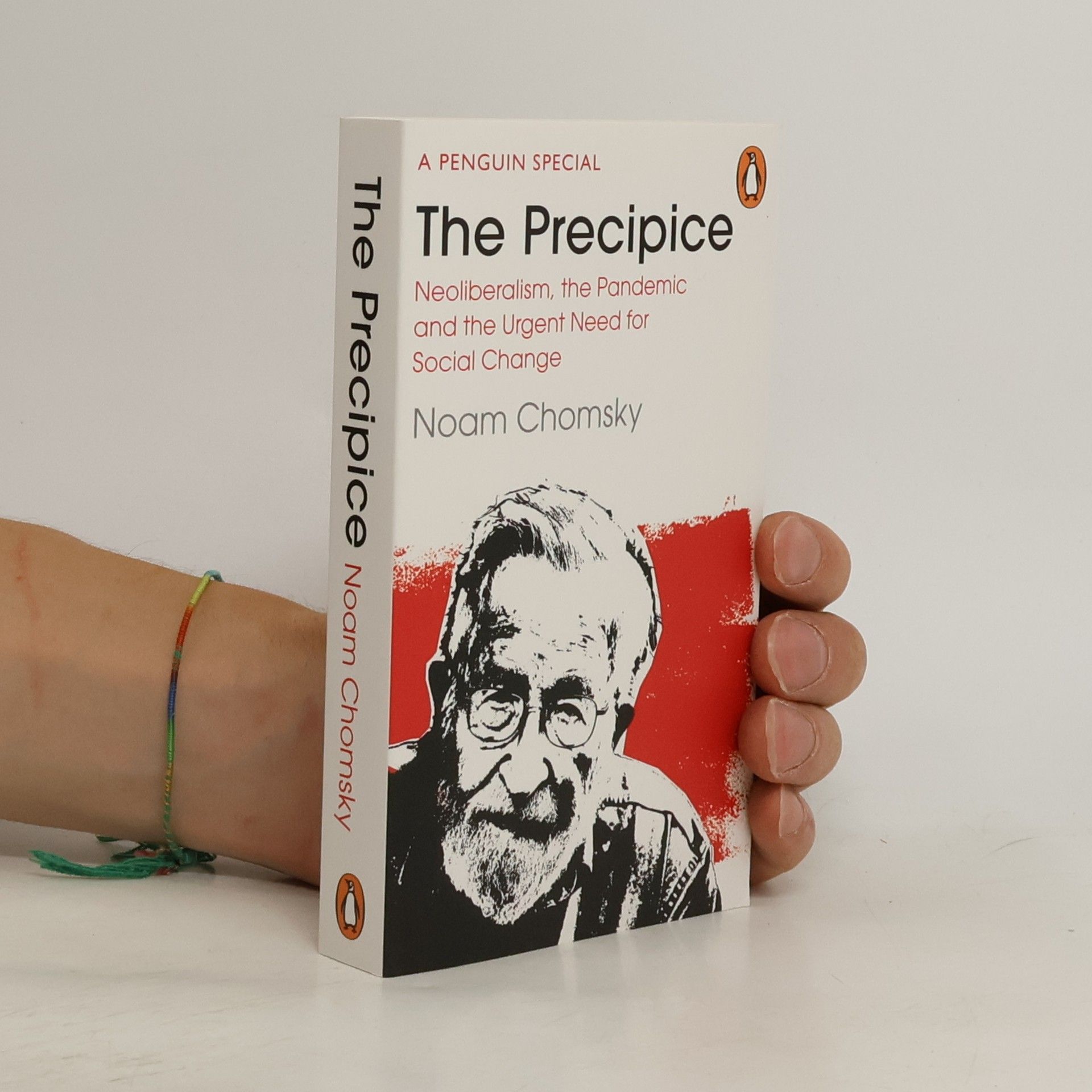 Noam Avram Chomsky The Precipice