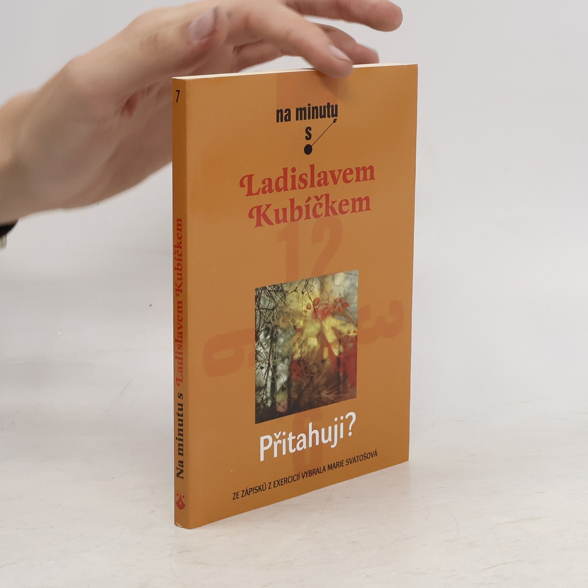 Ladislav Kubíček Přitahuji?