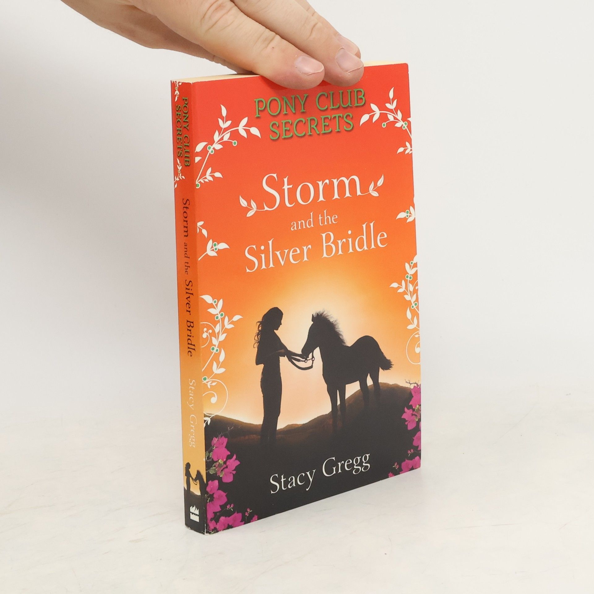 Stacy Gregg Storm and the Silver Bridle