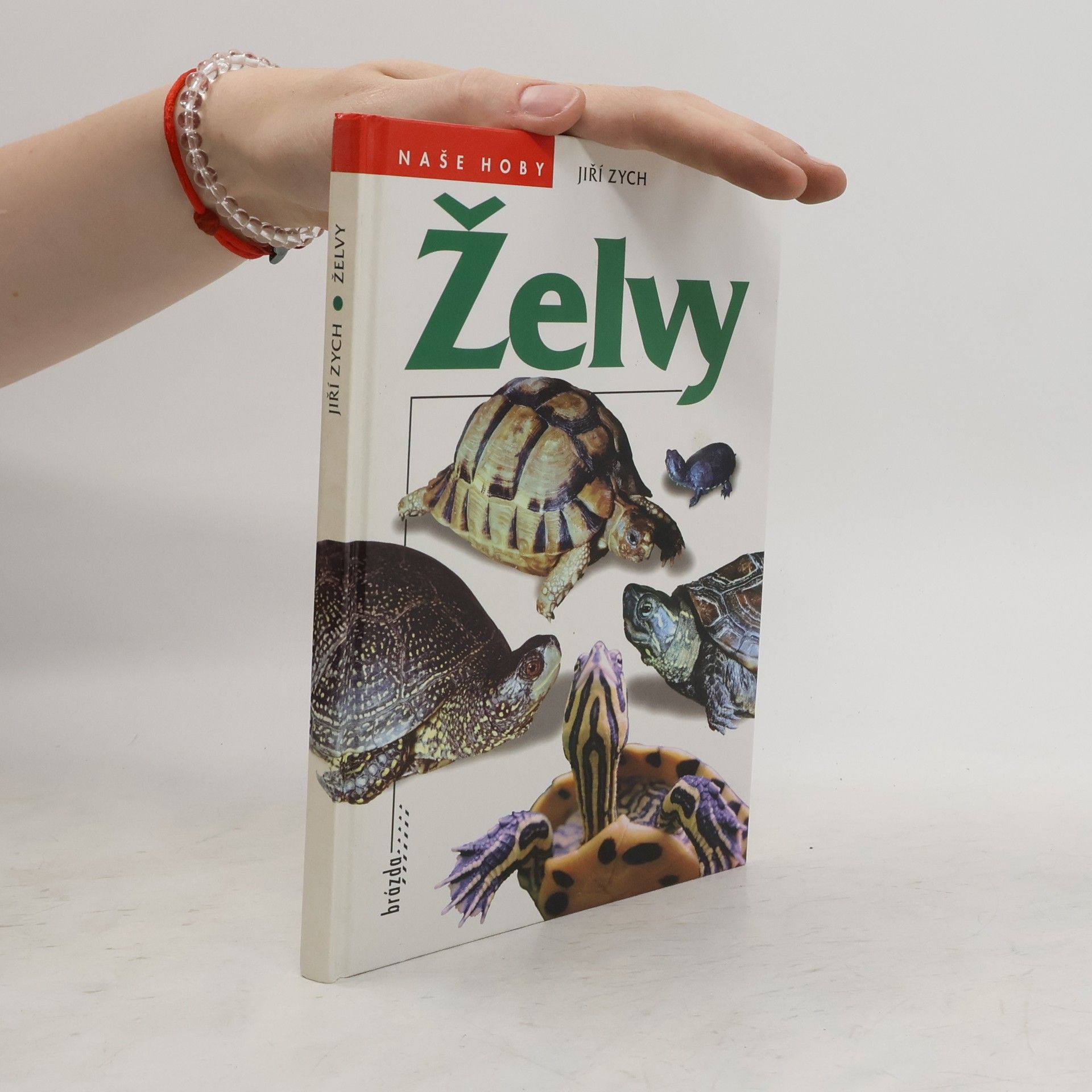 Jiří Zych Želvy