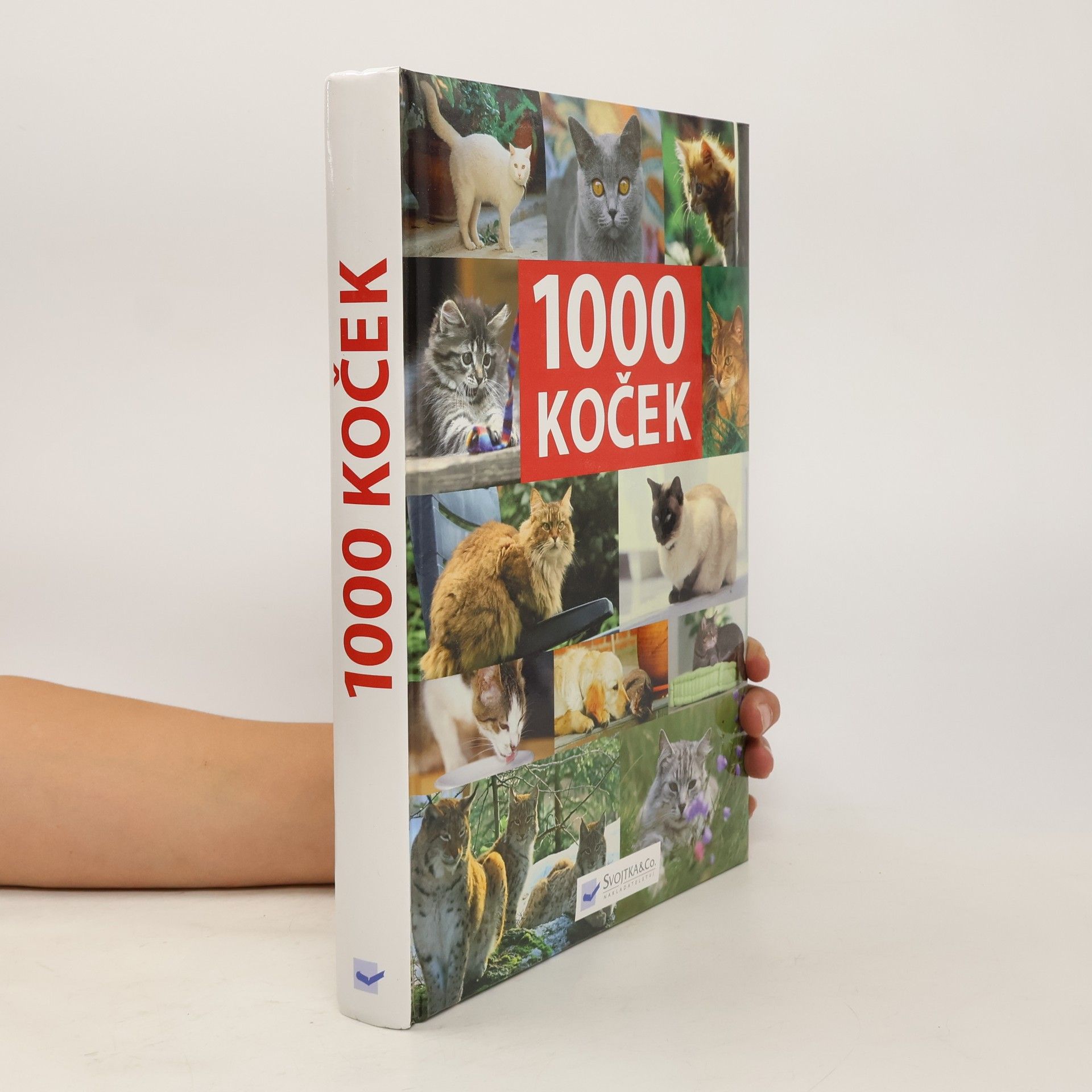 kolektiv 1000 koček