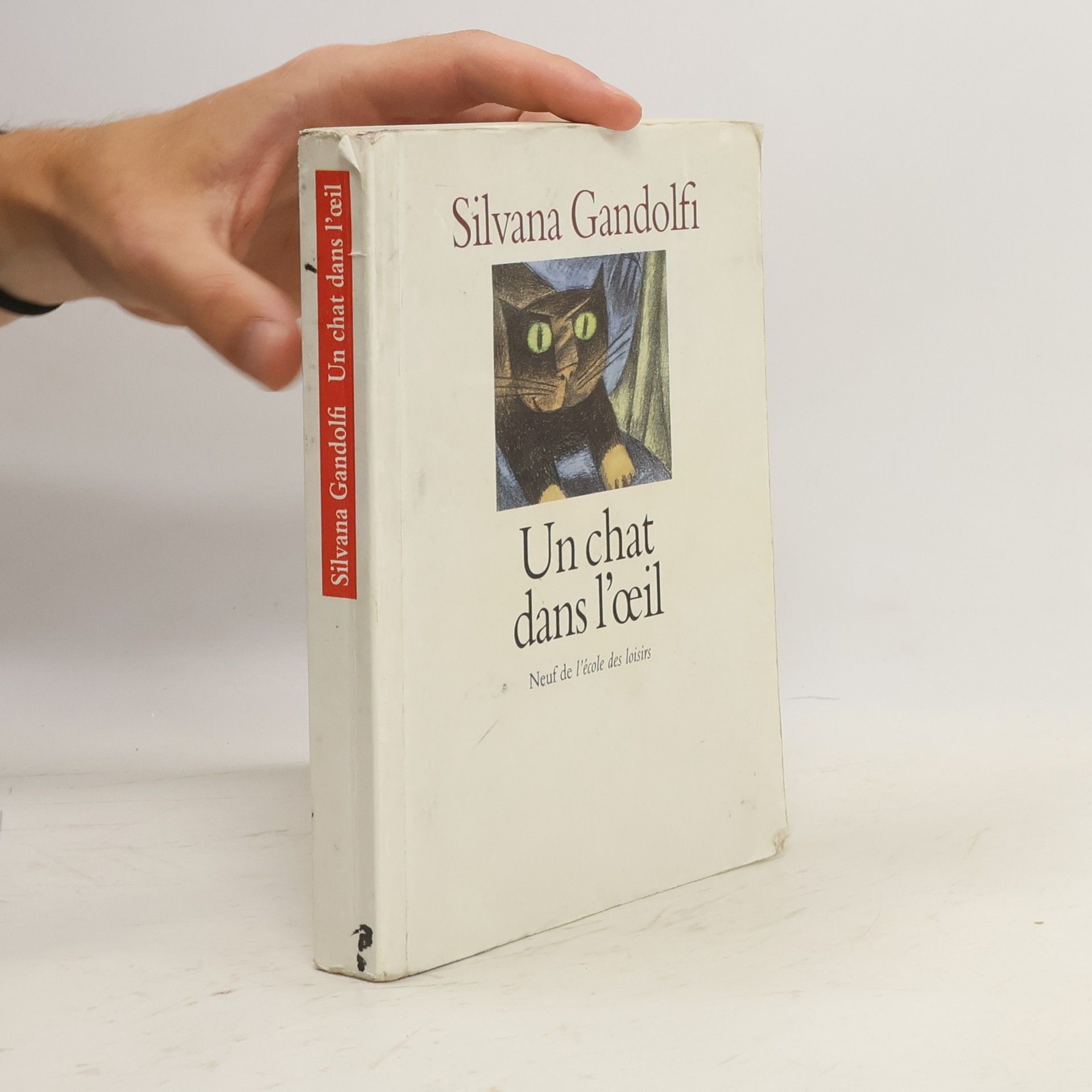 Silvana Gandolfi Un chat dans l'oeil
