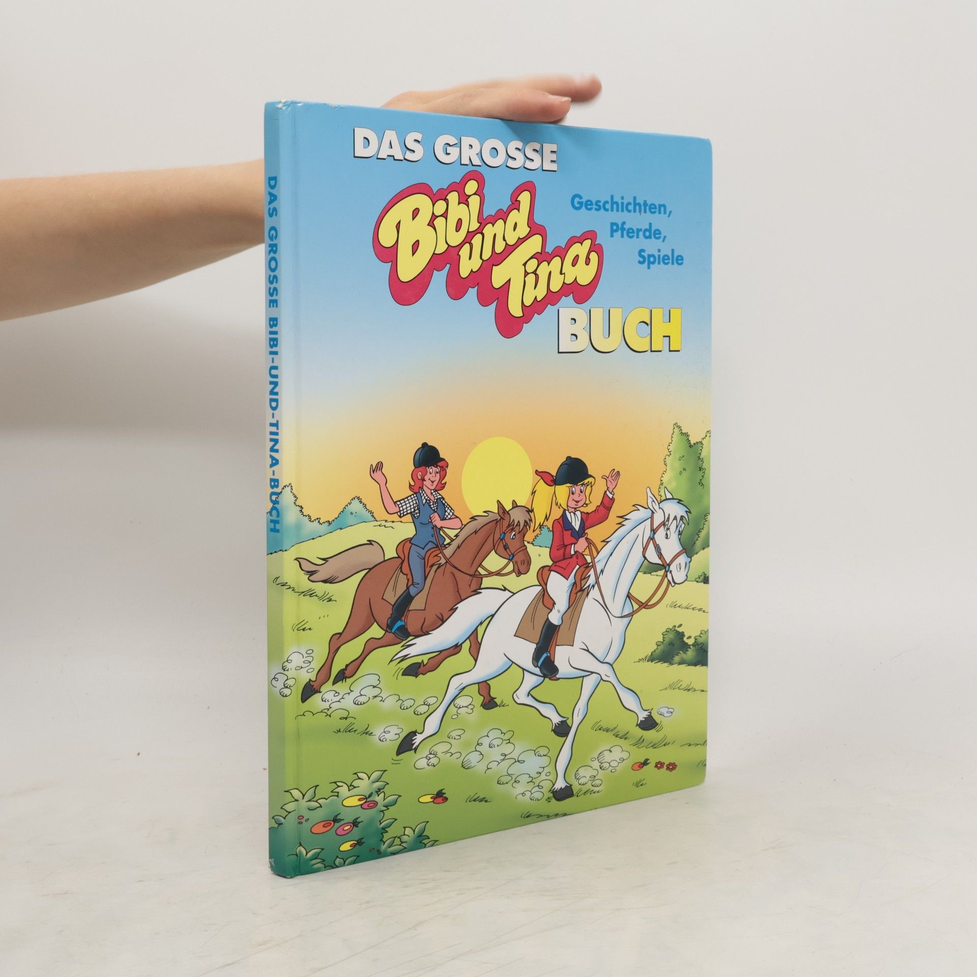 Autorenkollektiv Das grosse Bibi-und-Tina-Buch