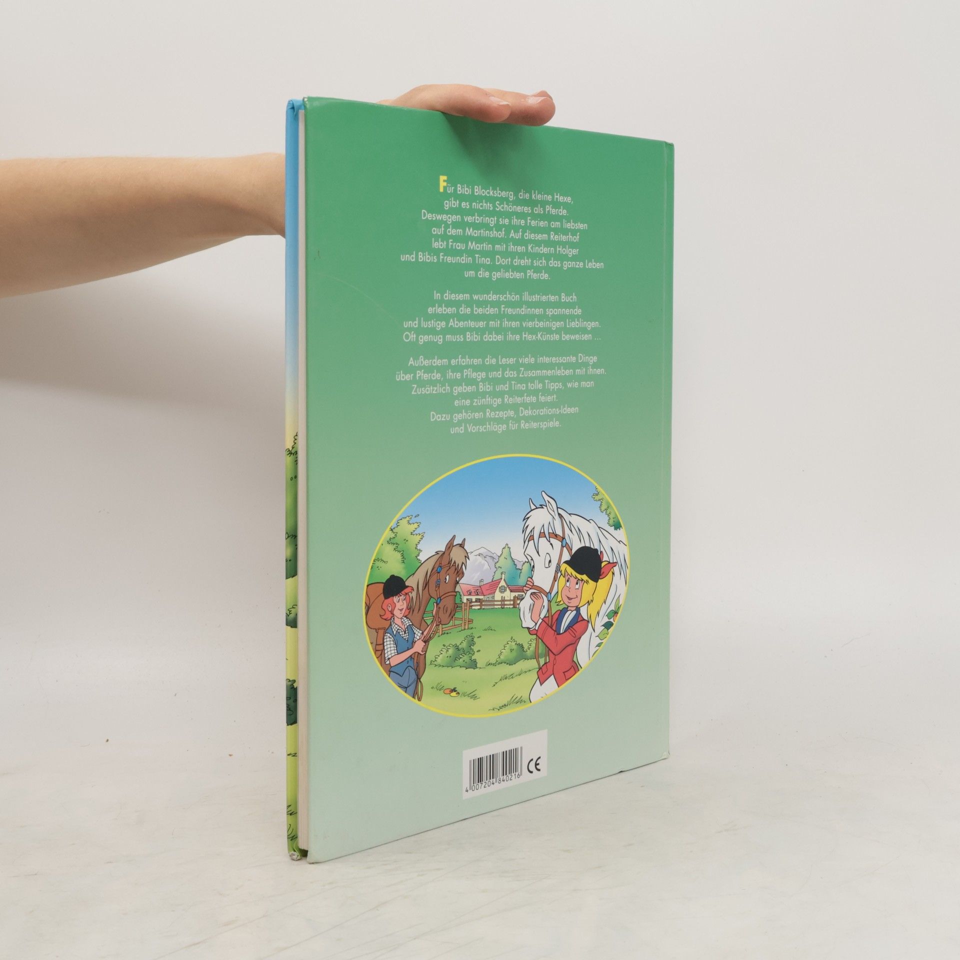 Autorenkollektiv Das grosse Bibi-und-Tina-Buch