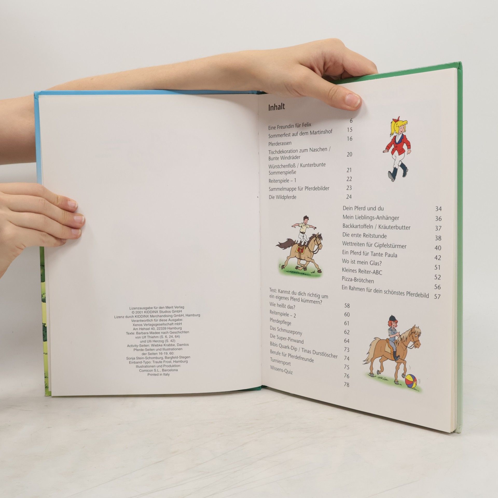 Autorenkollektiv Das grosse Bibi-und-Tina-Buch