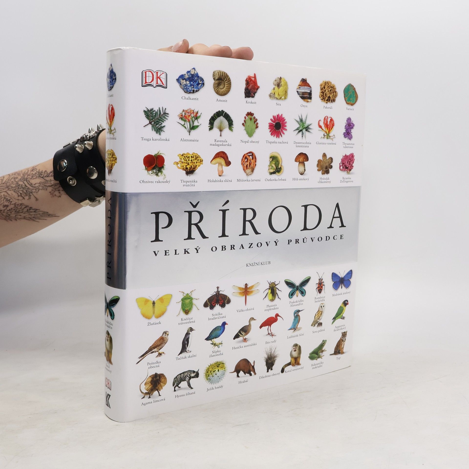 Richard Beatty Příroda – Velký obrazový průvodce