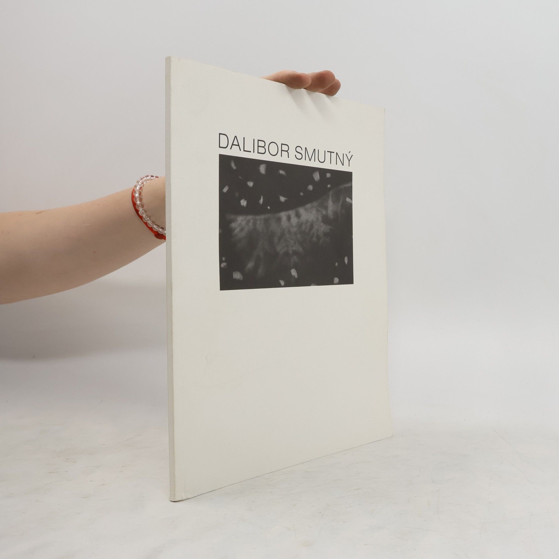 Dalibor Smutný Dalibor Smutný: Rasochy: Západočeská galerie v Plzni, září-říjen 2007