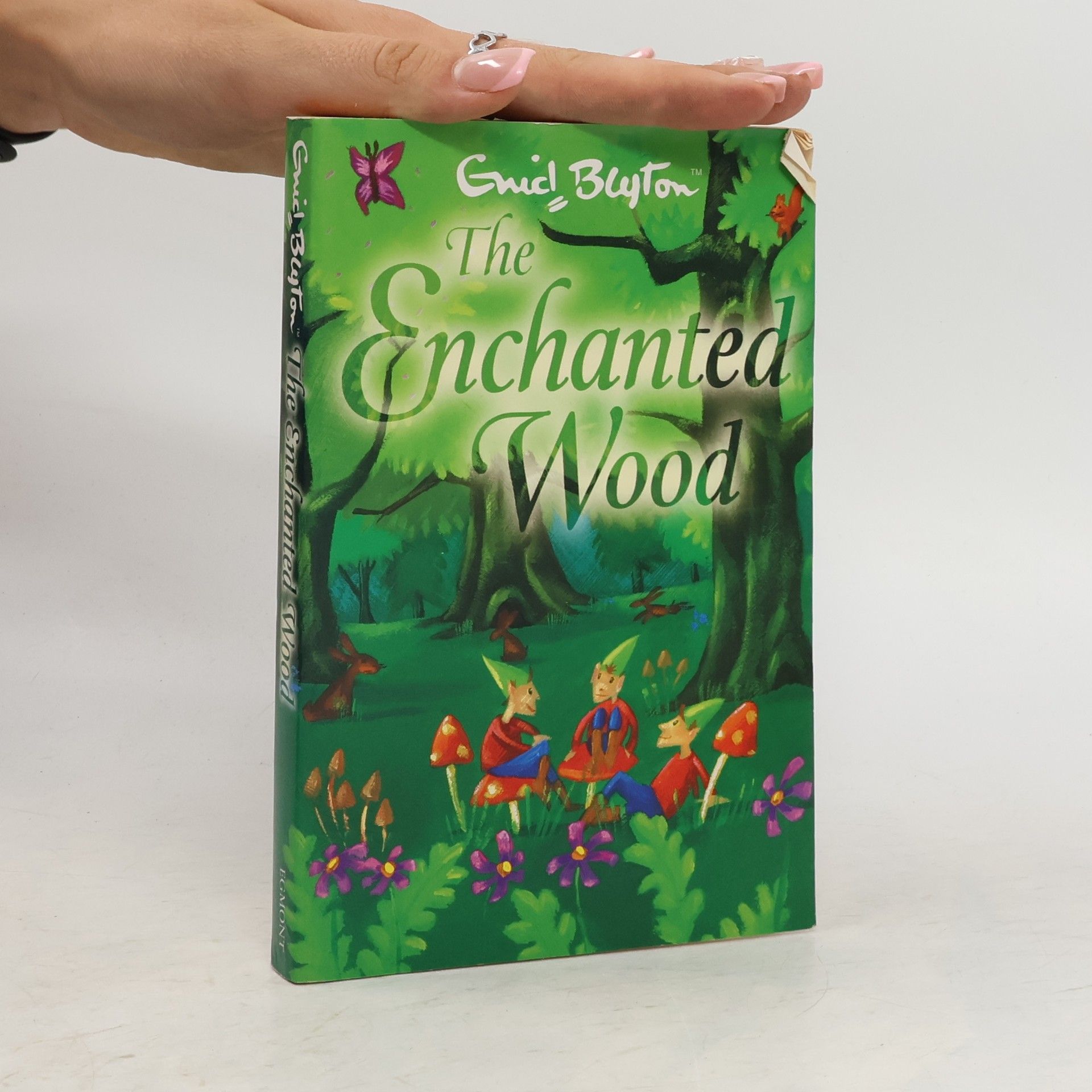 Enid Blyton The Enchanted Wood