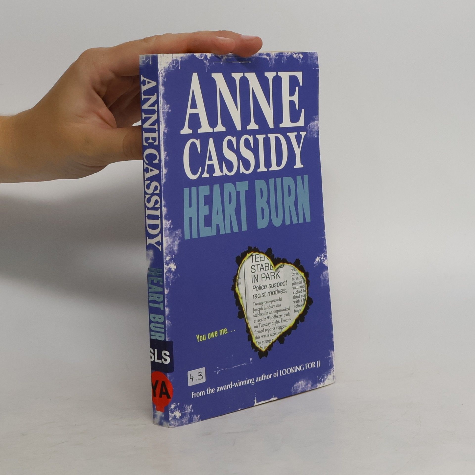 Anne Cassidy Heart Burn