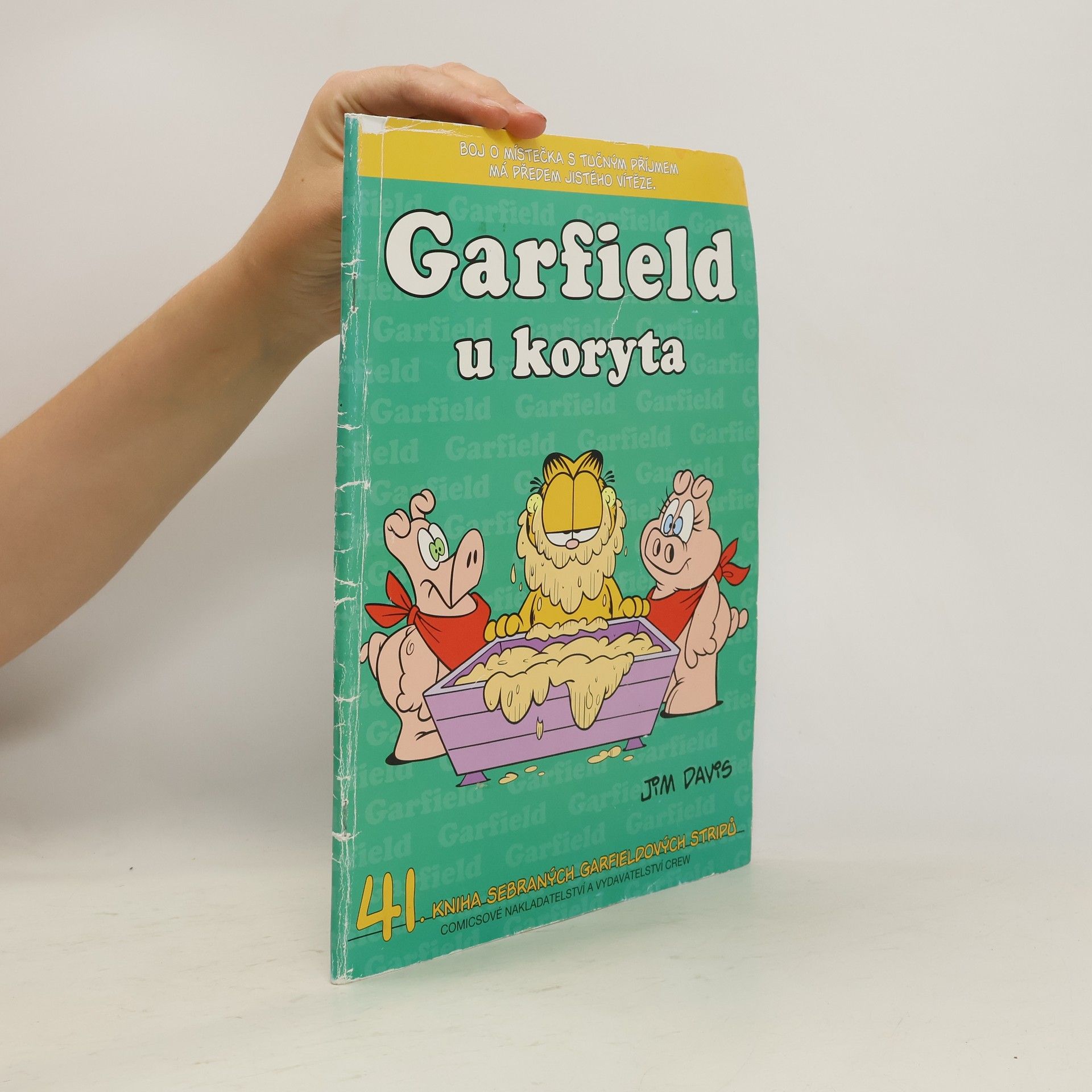Jim Davis Garfield u koryta (41. díl)