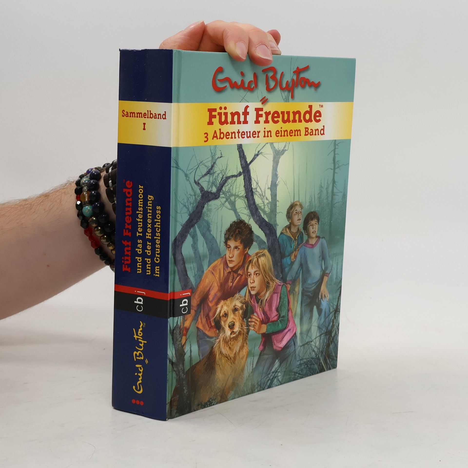 Enid Blyton Sammelband 1. Fünf Freunde. 3 Abenteuer in einem Band