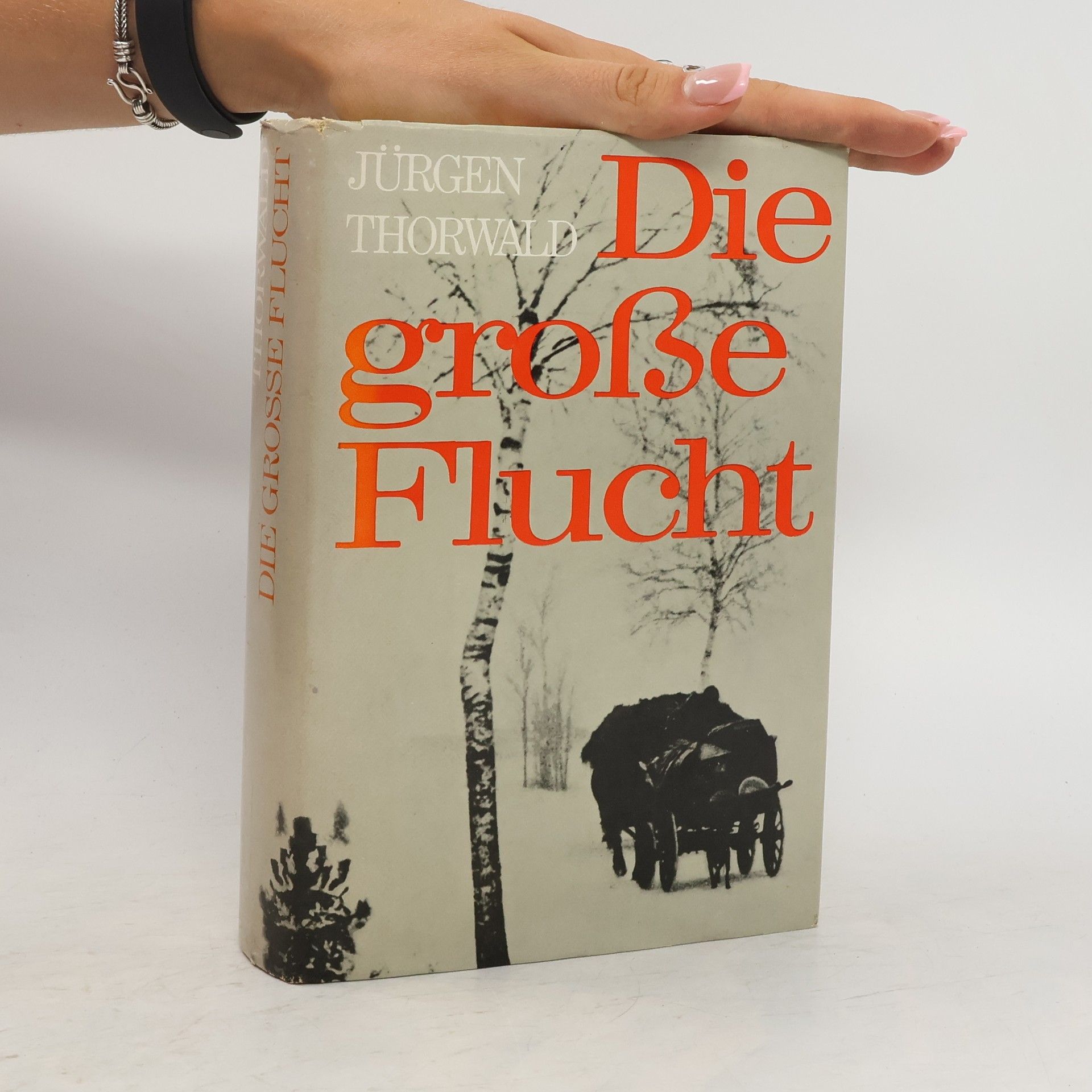 kolektiv Die große Flucht