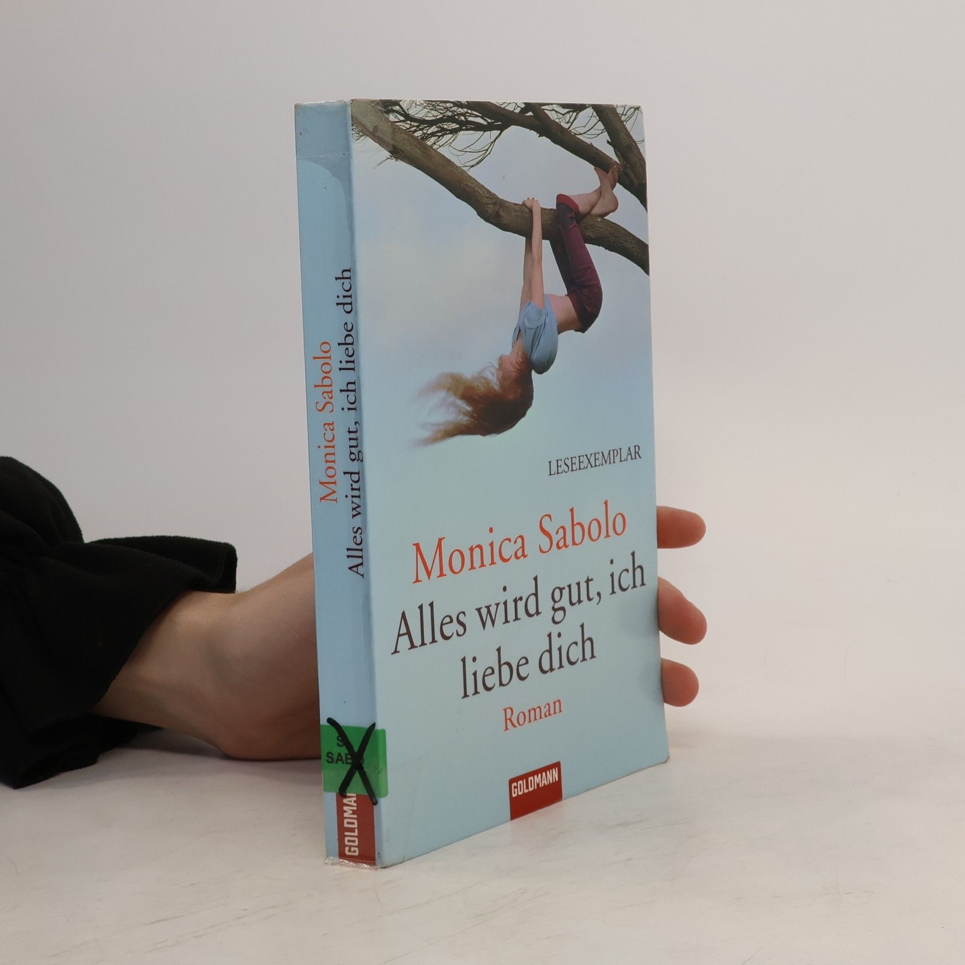 Monica Sabolo Alles wird gut, ich liebe dich