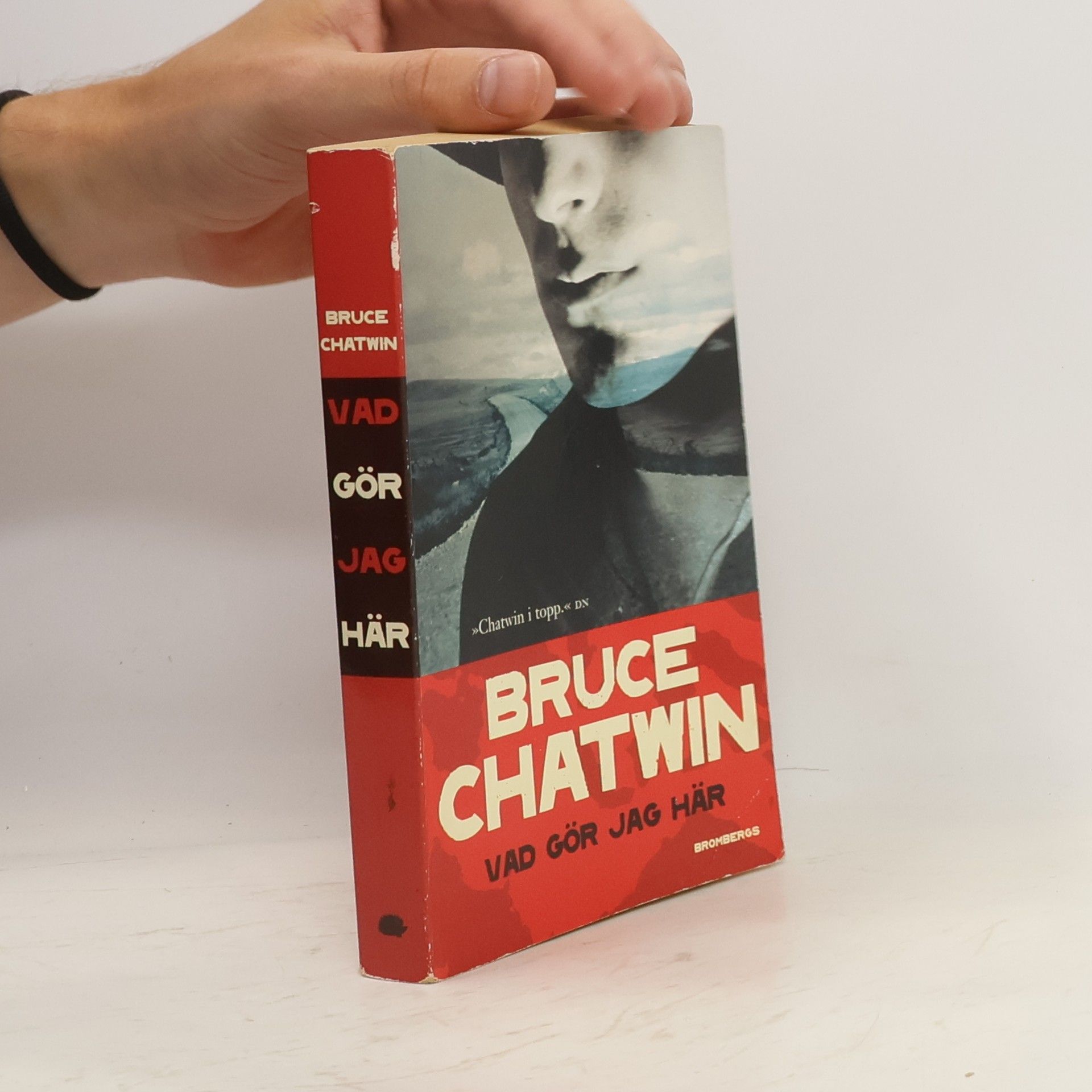 Bruce Chatwin Vad gör jag här