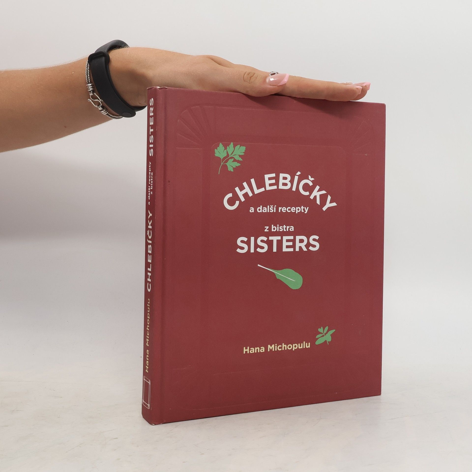Hana Michopulu Chlebíčky a další recepty z bistra Sisters