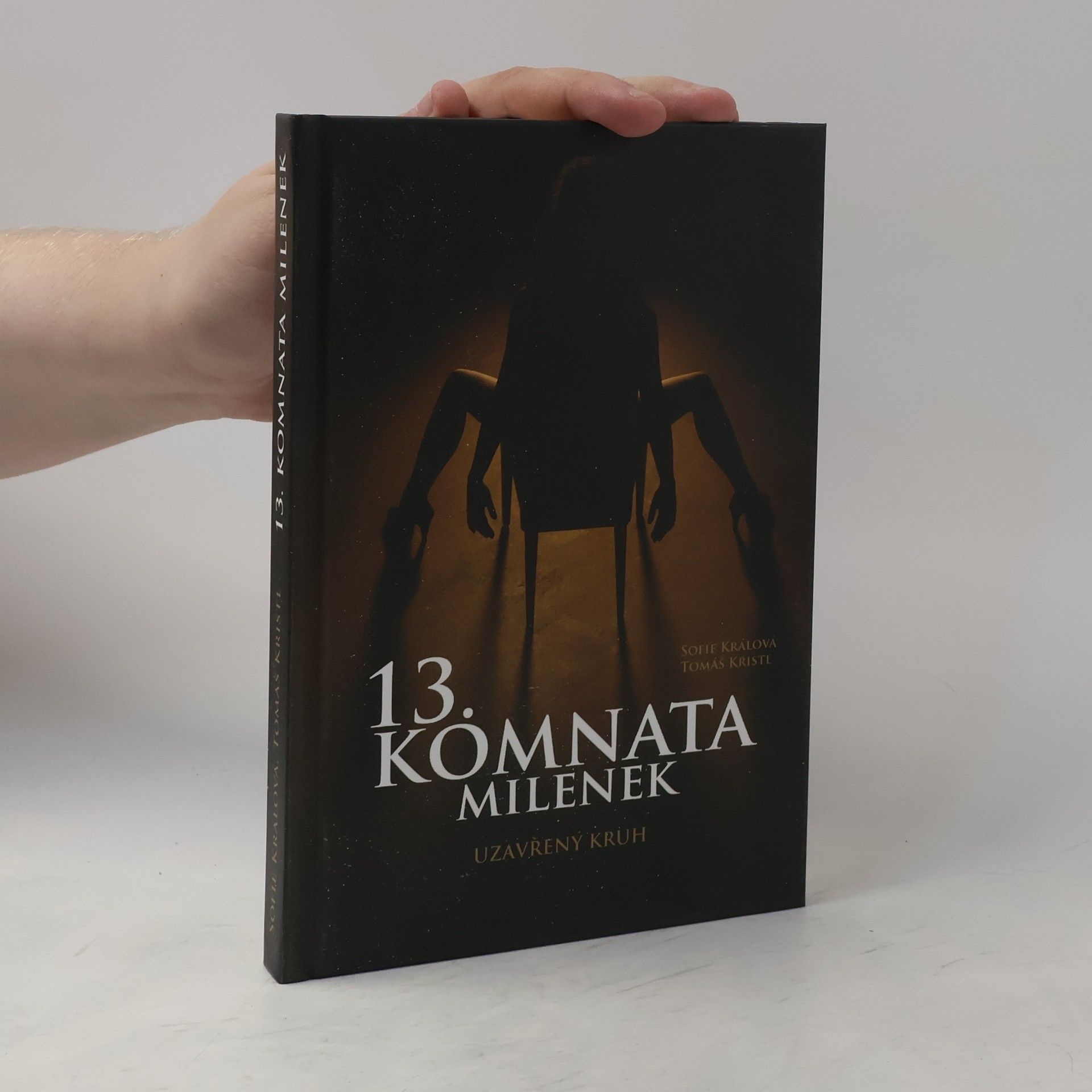 Tomáš Kristl 13. komnata milenek. Uzavřený kruh