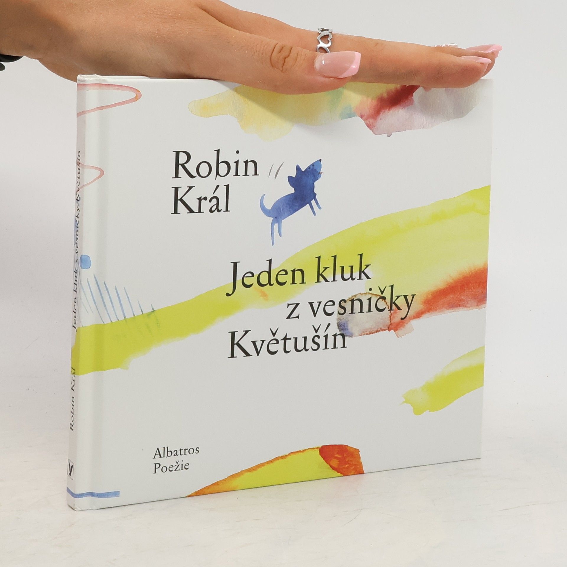 Robin Král Jeden kluk z vesničky Květušín