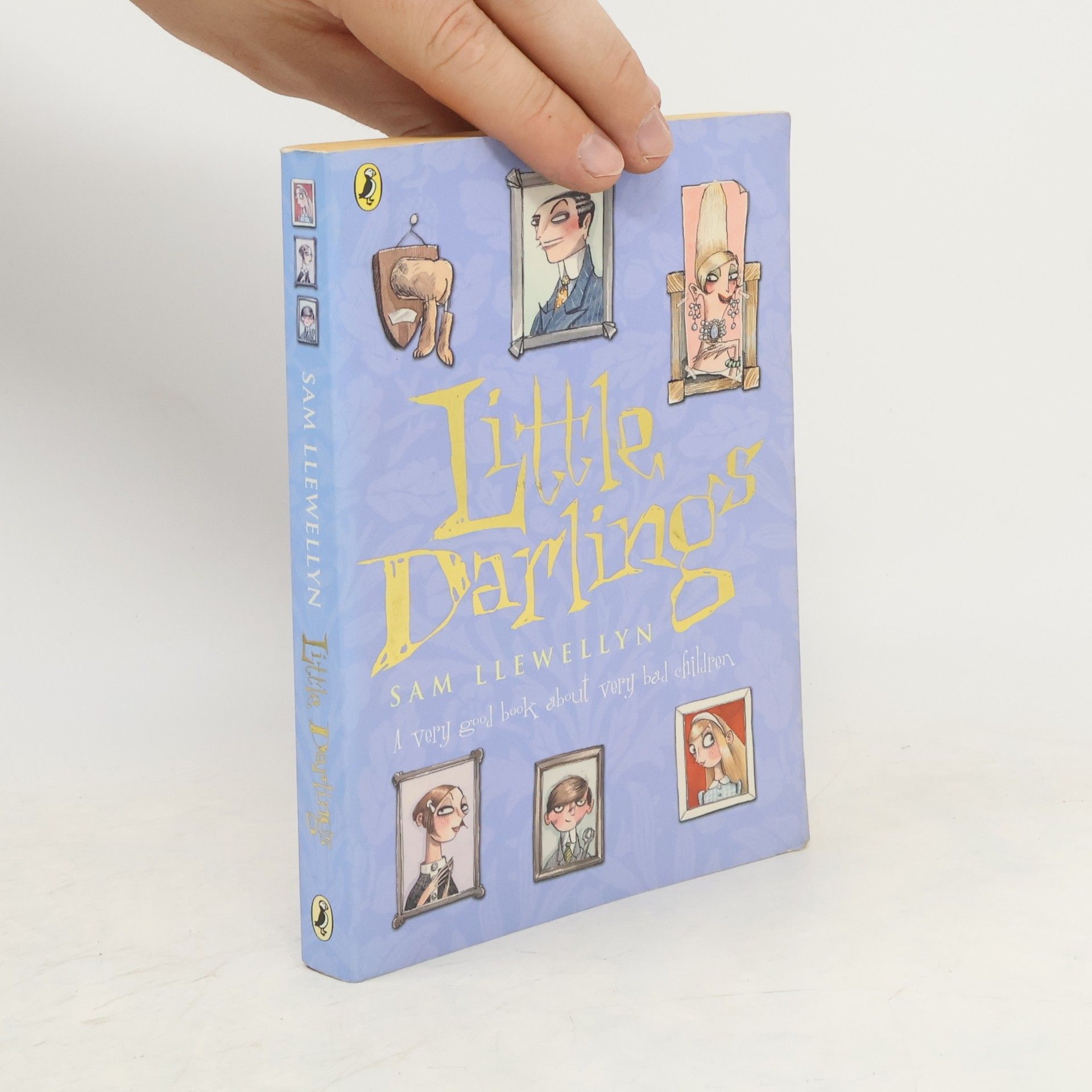Sam Llewellyn Little Darlings