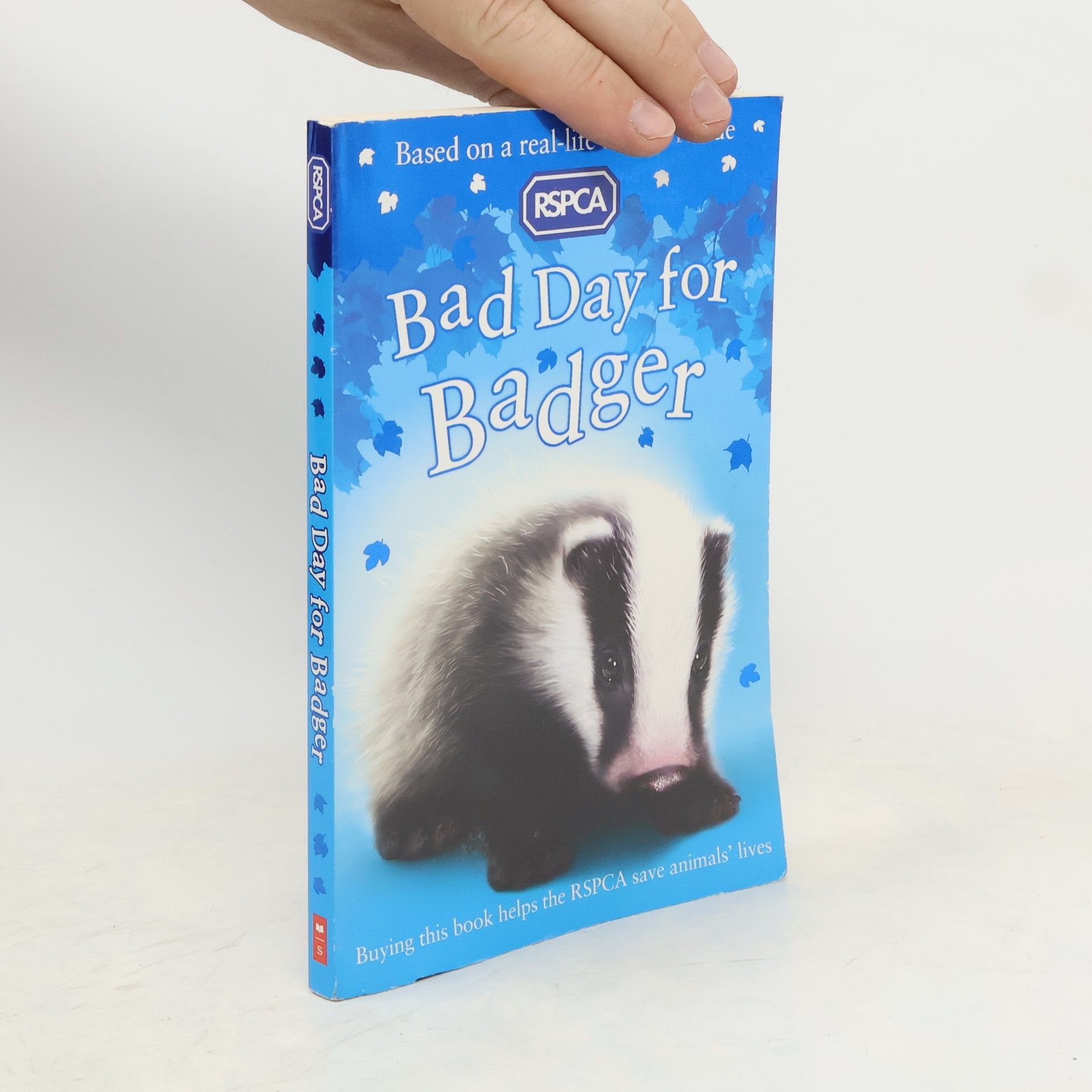 Autorenkollektiv Bad Day for Badger