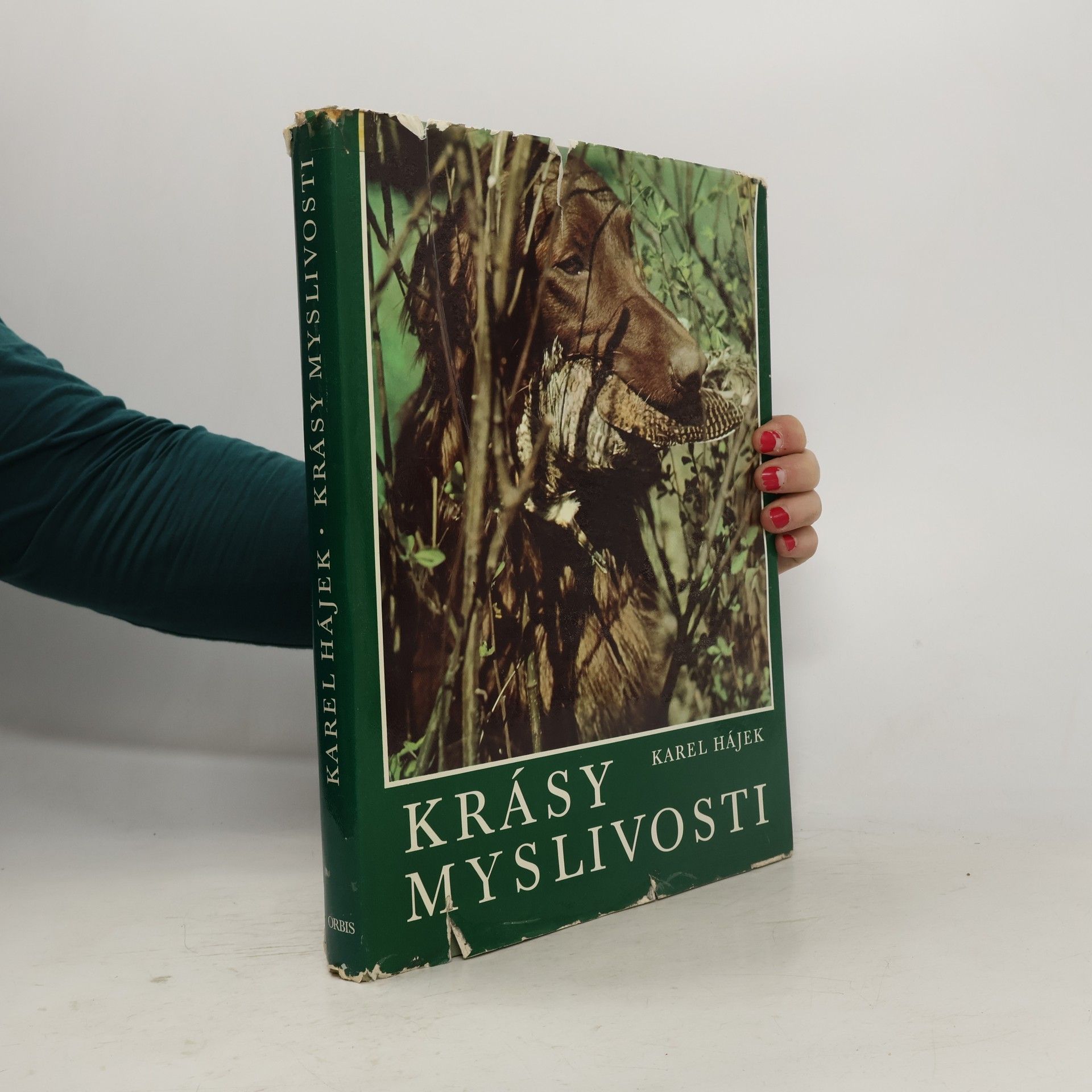 Karel Hájek Krásy myslivosti