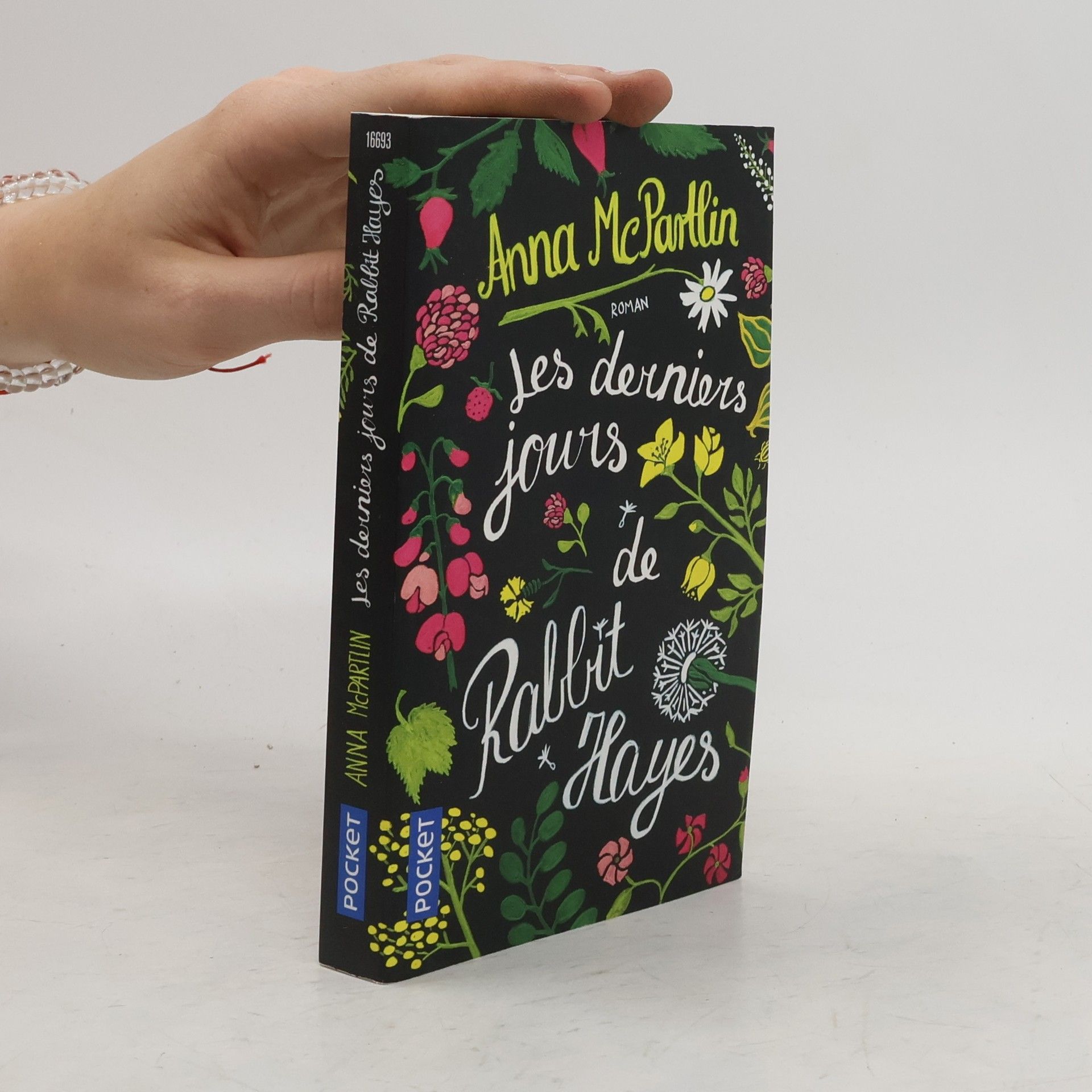 Anna Mc Partlin Les derniers jours de Rabbit Hayes