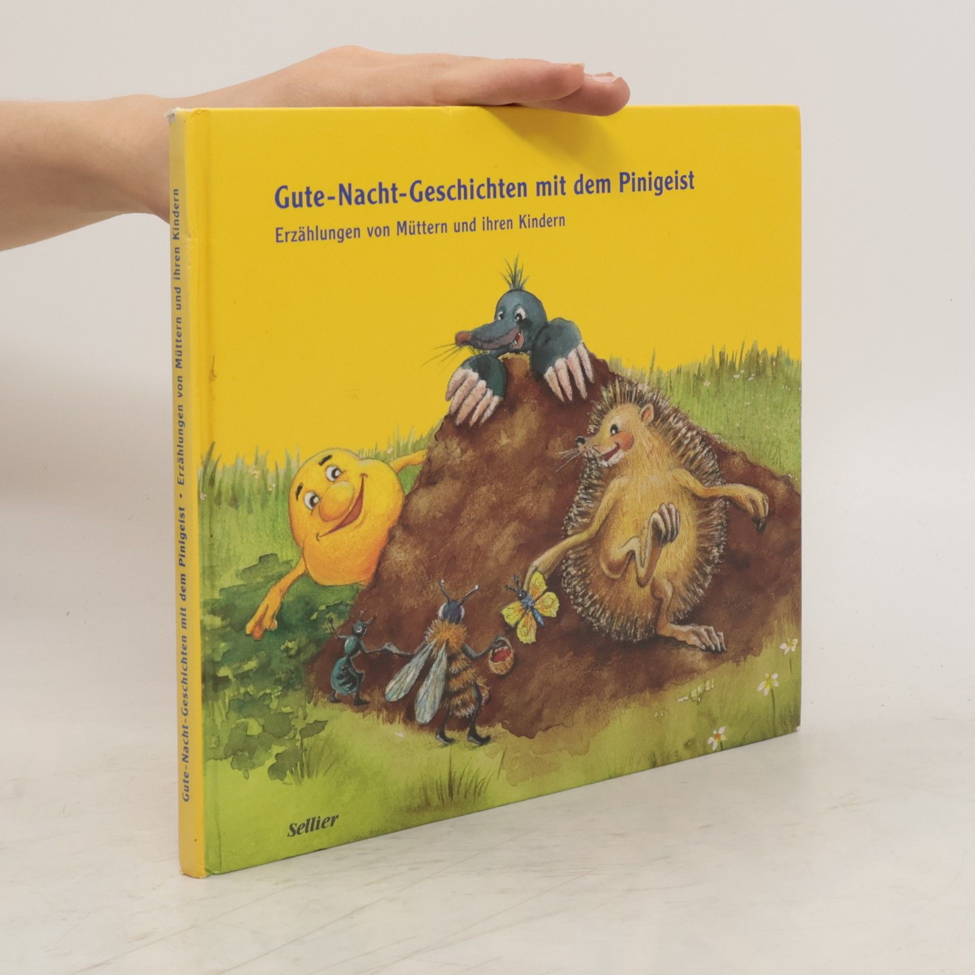 Collectif d'auteurs Gute-Nacht-Geschichten mit dem Pinigeist