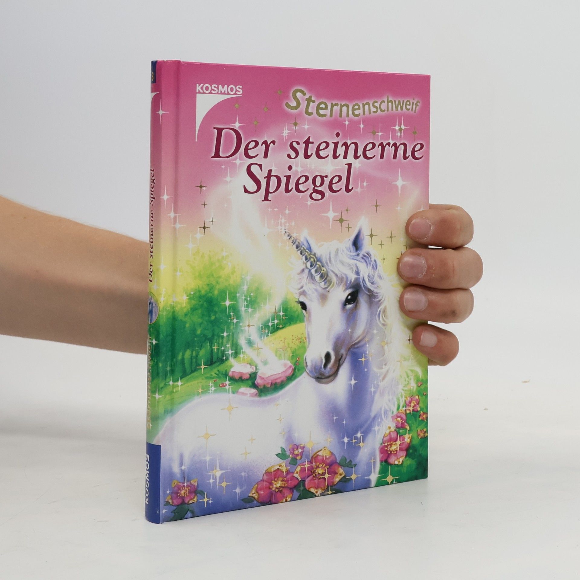 Linda Chapman Sternenschweif: Der steinerne Spiegel