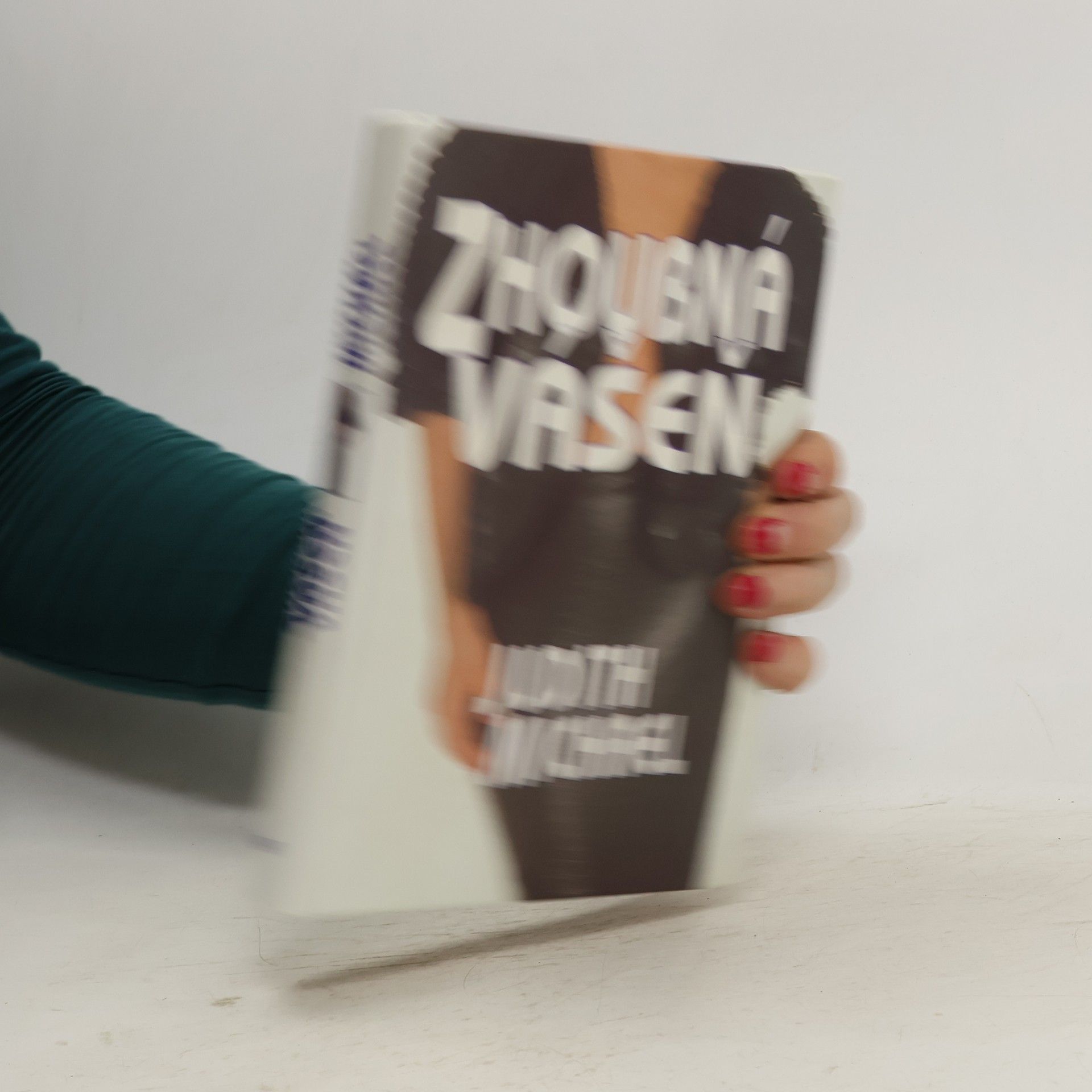 Judith Michael Zhoubná vášeň