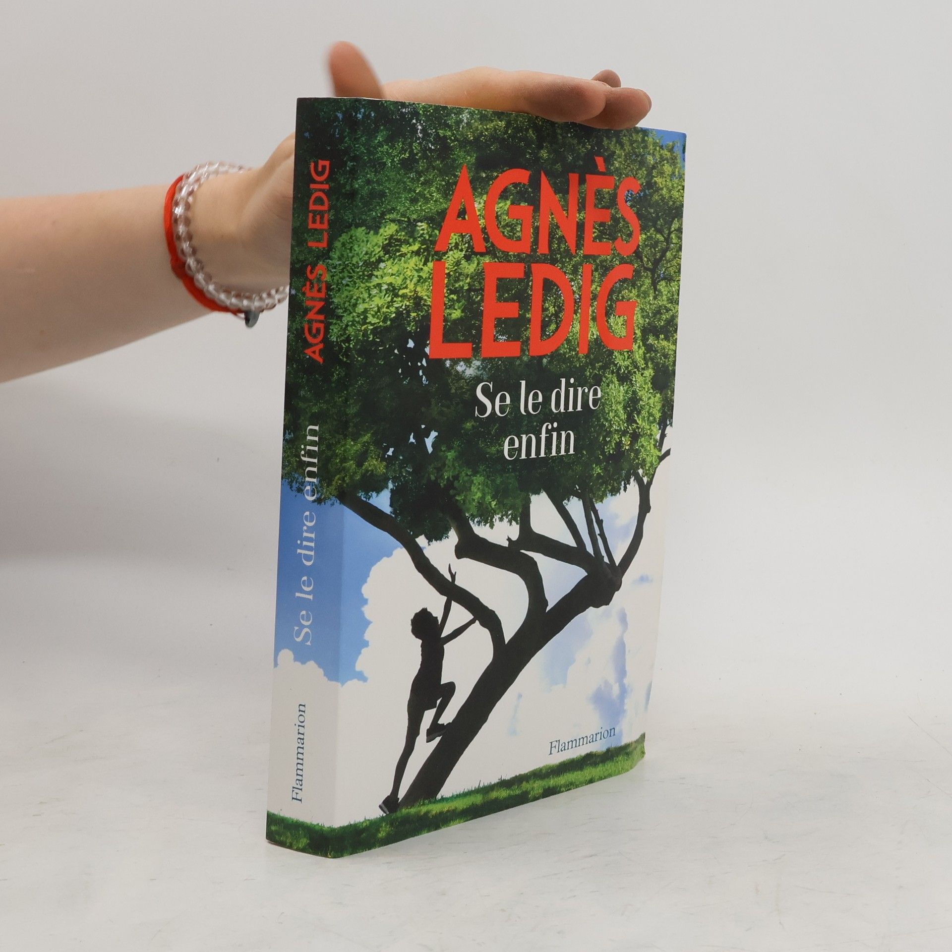 Agnés Ledig Se le dire enfin