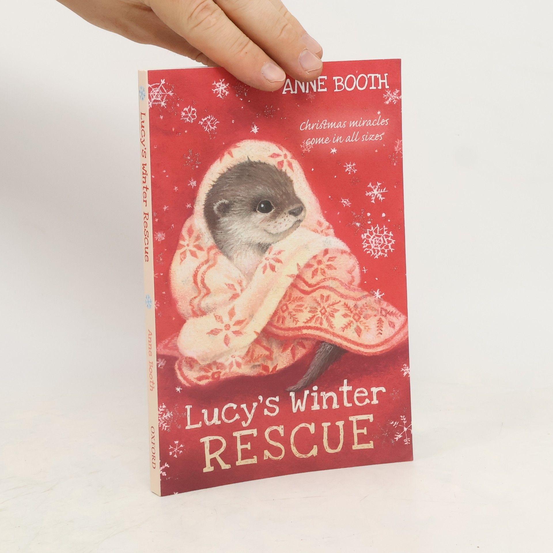 Anne Booth Lucy's Winter Rescue