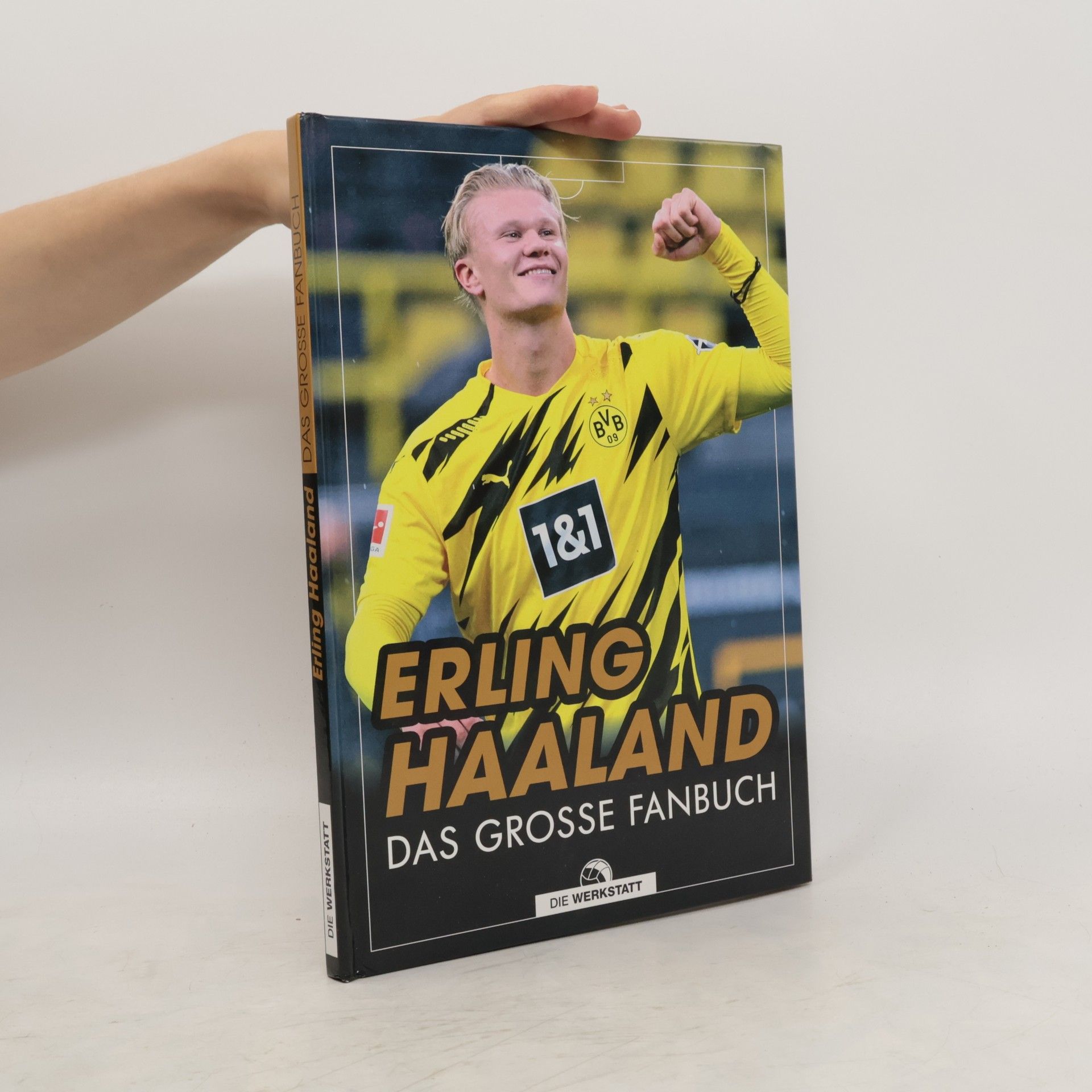 Kerry Hau Erling Haaland