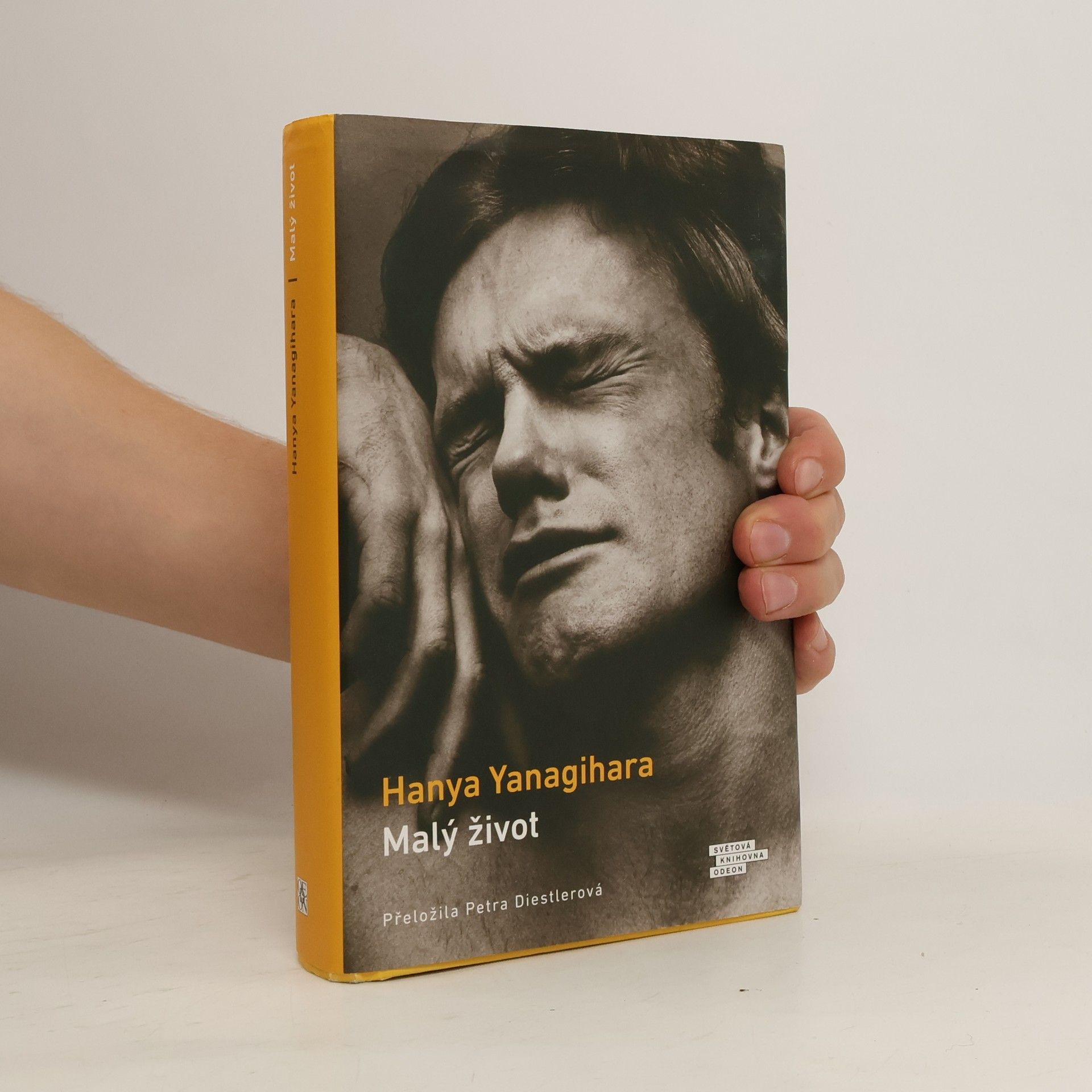 Hanya Yanagihara Malý život