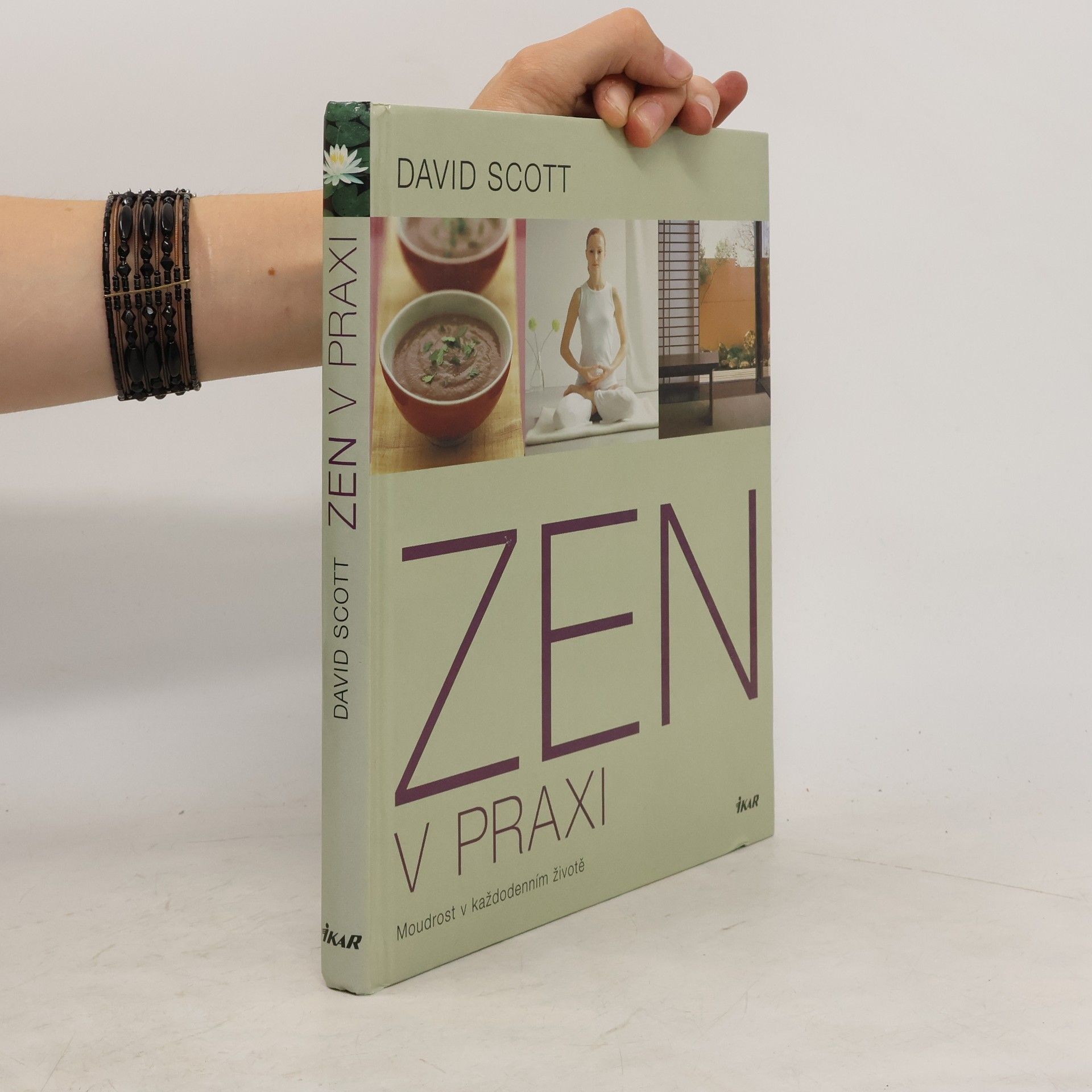 Wolfgang Bauer Zen v praxi