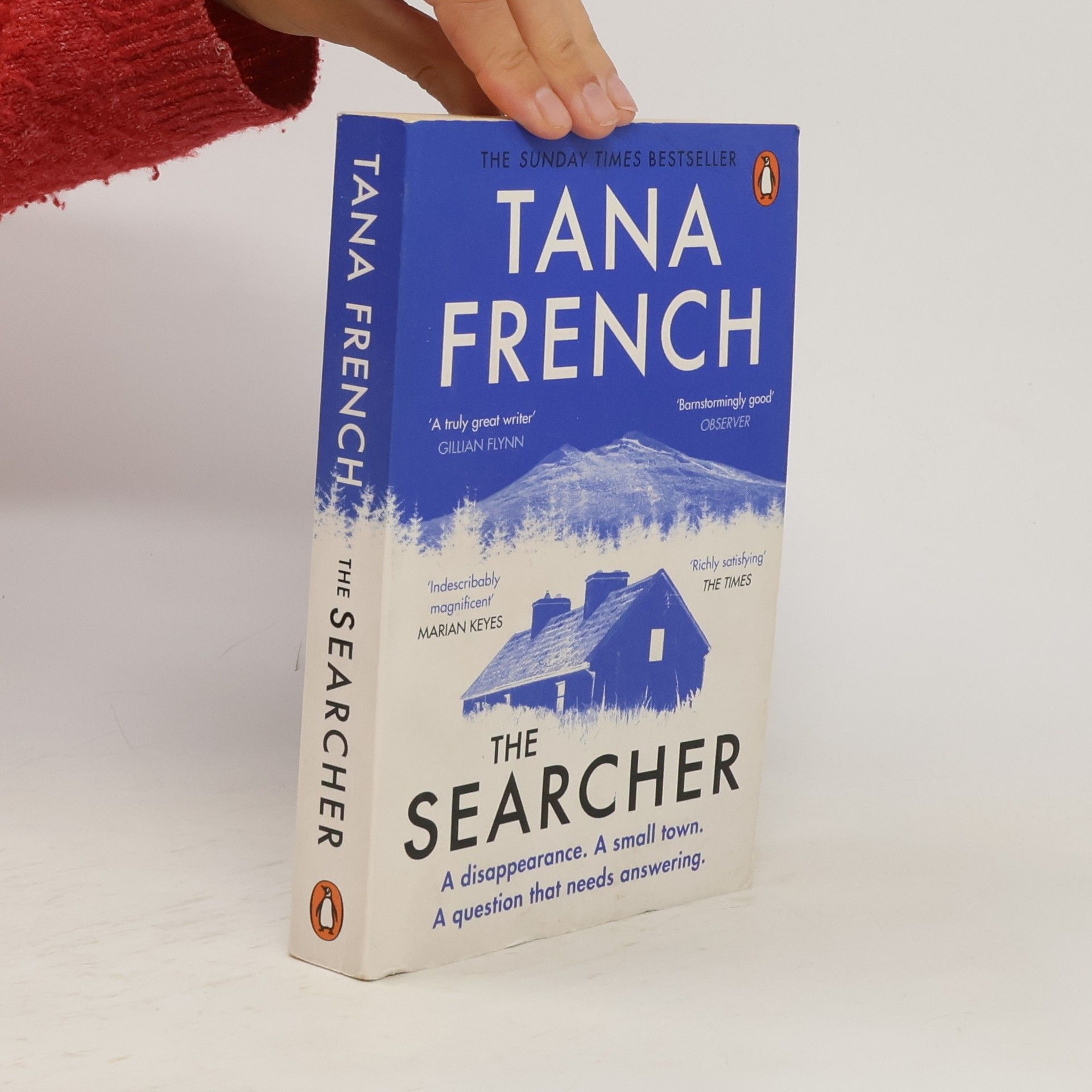 Tana French The Searcher