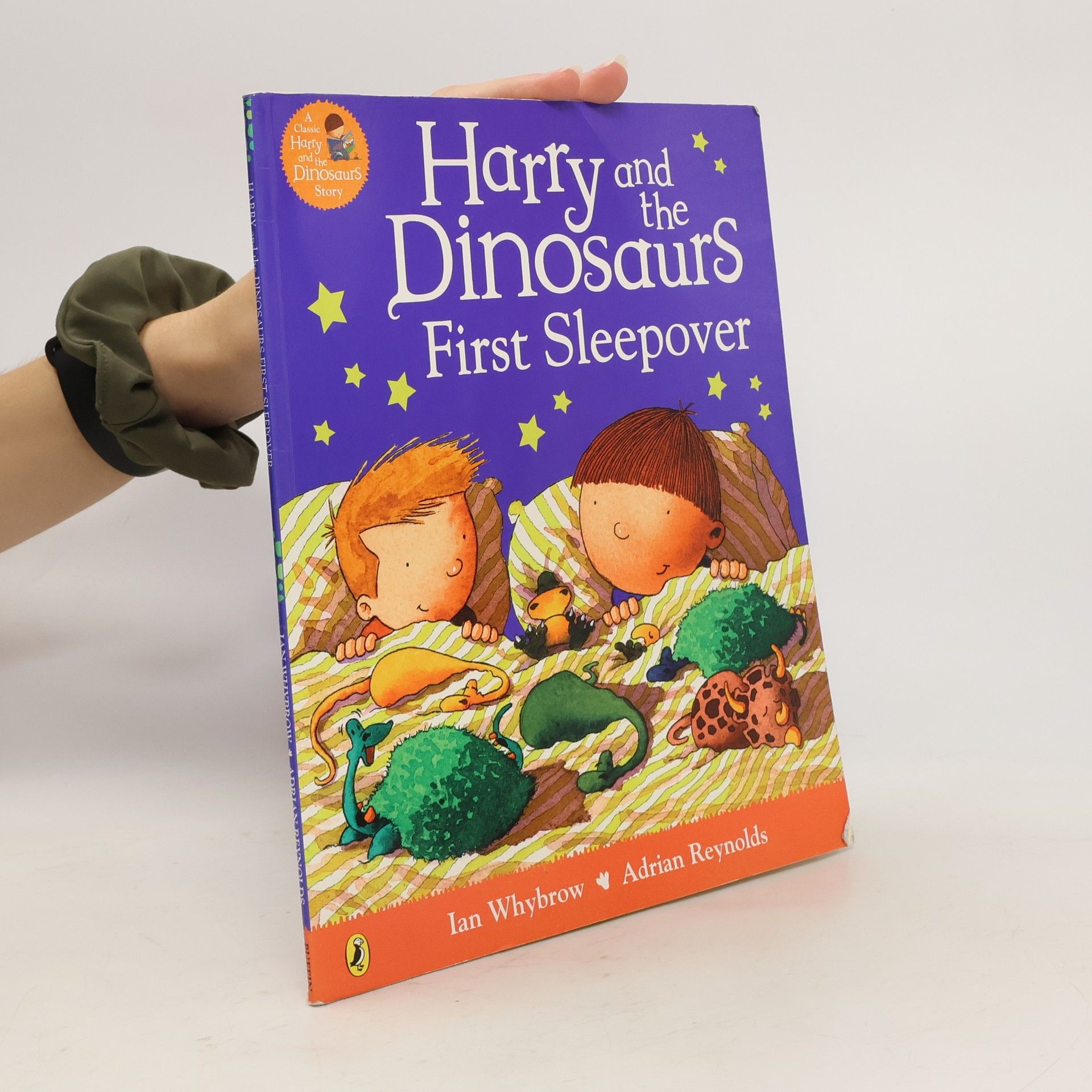 Ian Whybrow Harry and the Dinosaurs First Sleepover