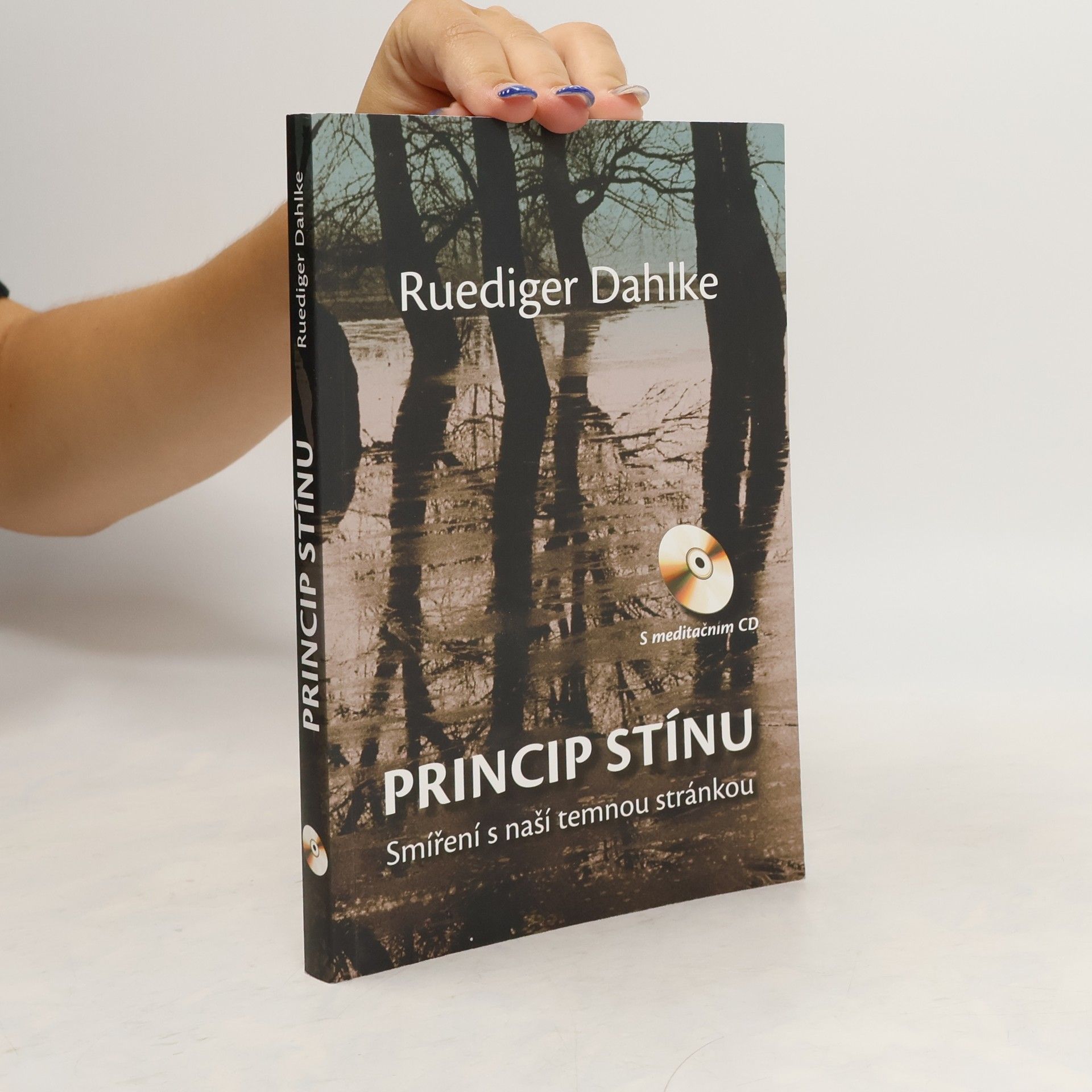 Ruediger Dahlke Princip stínu: Smíření s naší temnou stránkou