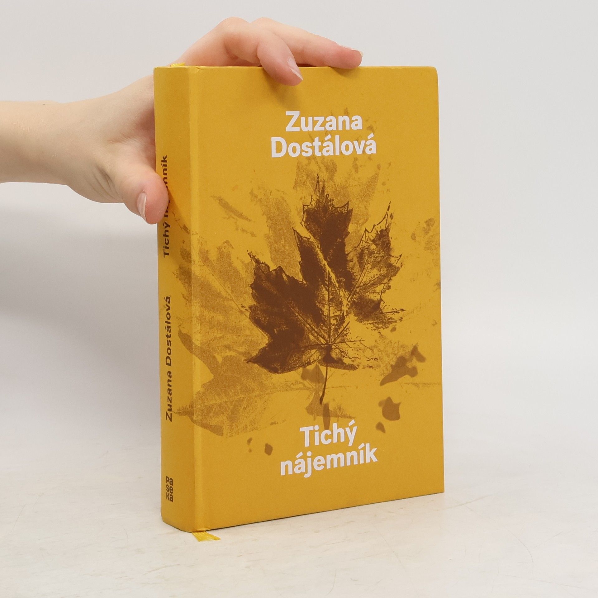 Zuzana Dostálová Tichý nájemník