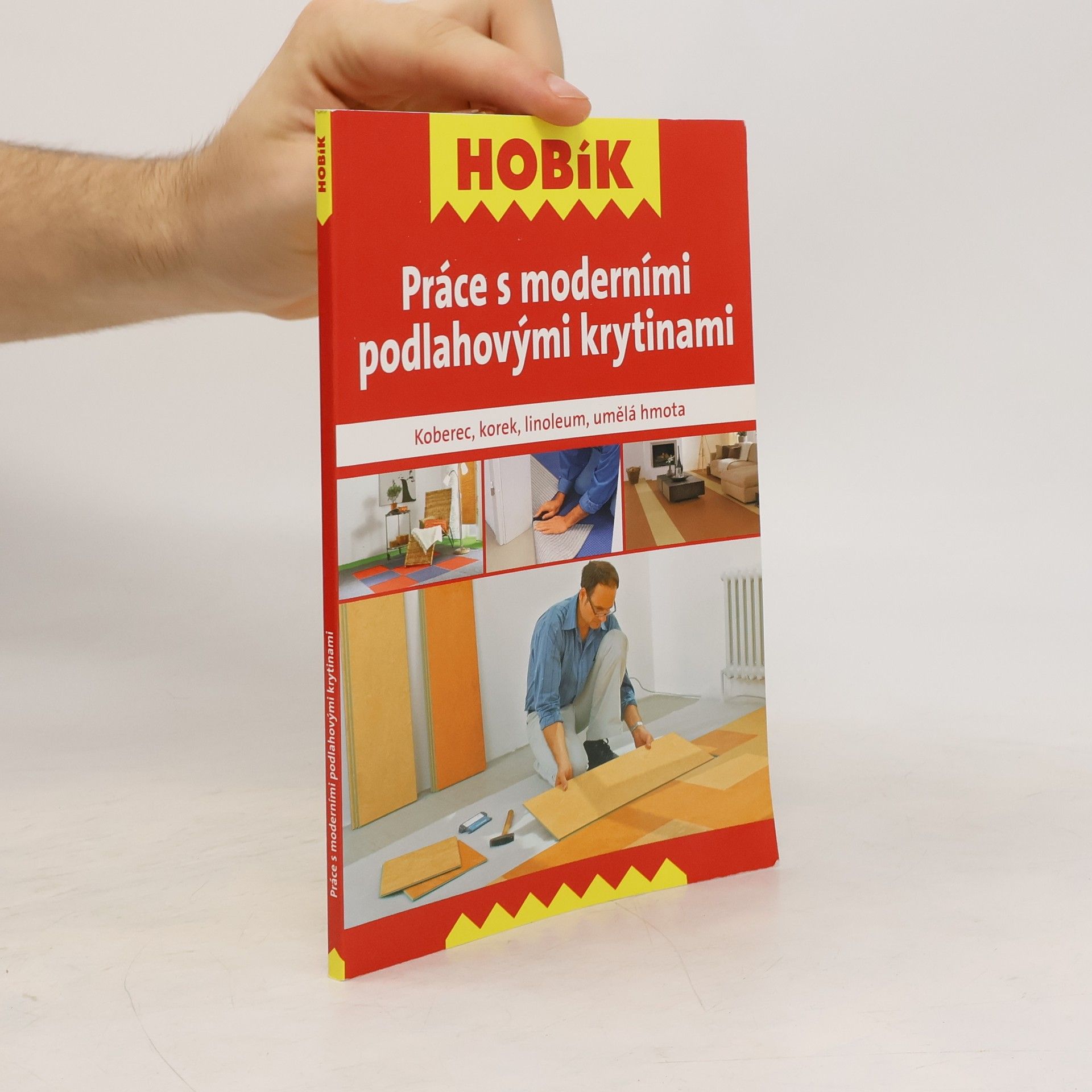 AA.VV. Práce s moderními podlahovými krytinami : koberec, korek, linoleum, umělá hmota