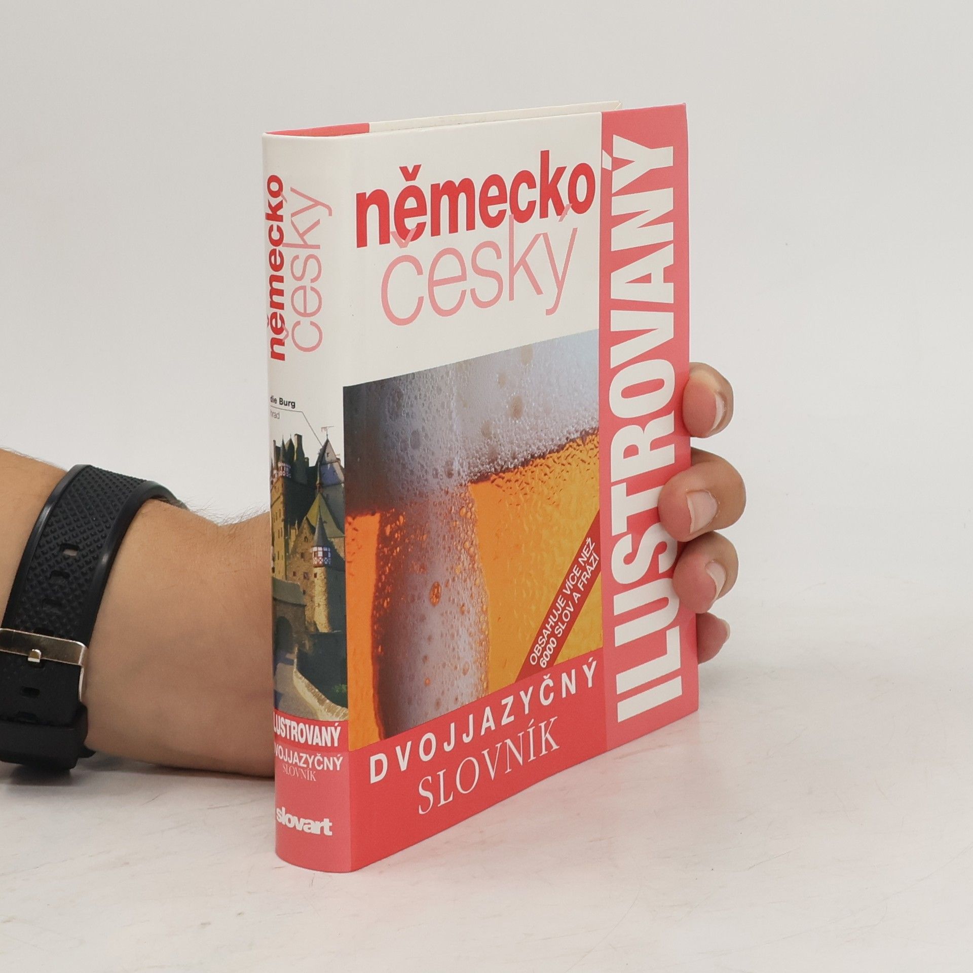 Collective Německo-český dvojjazyčný ilustrovaný slovník