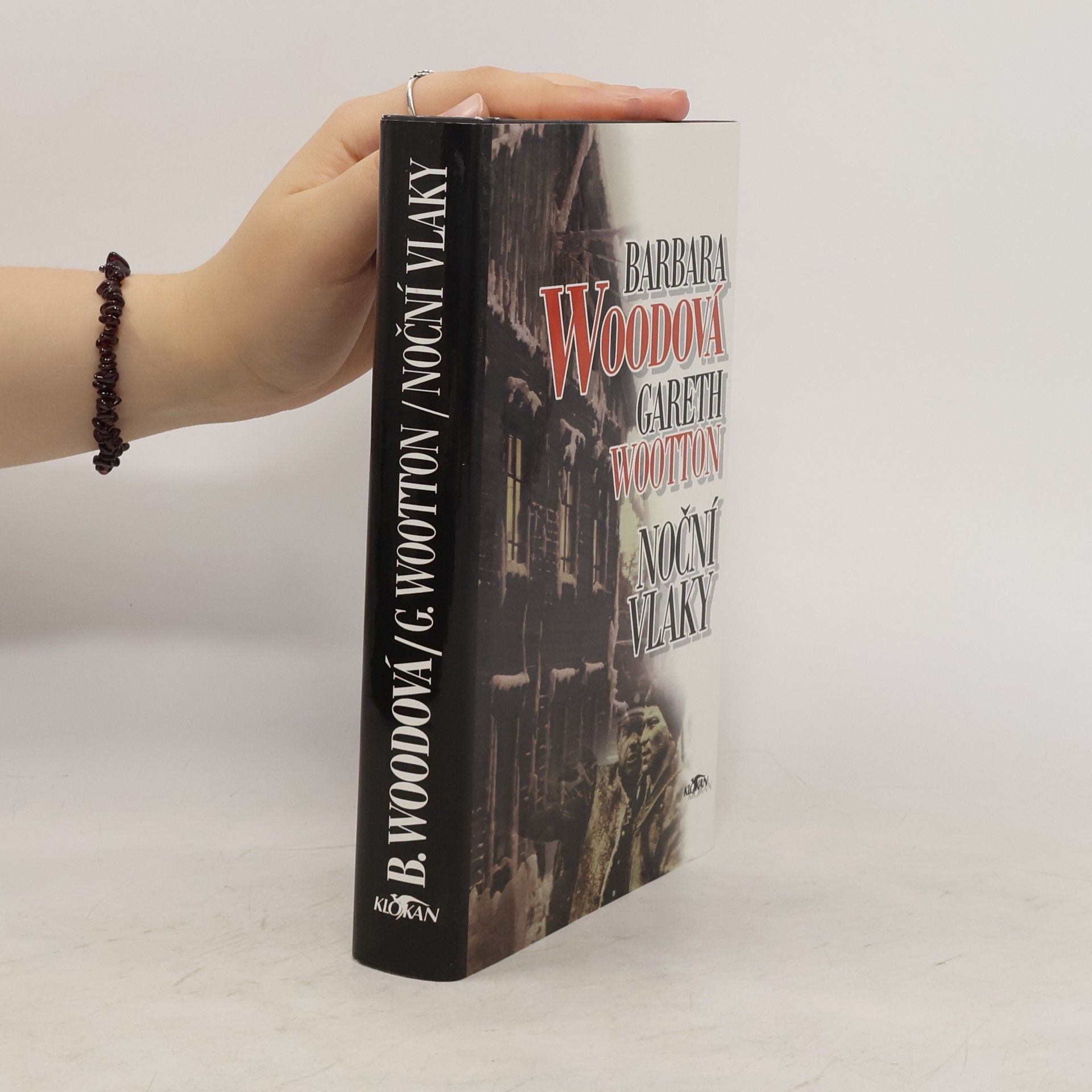 Barbara Wood Noční vlaky