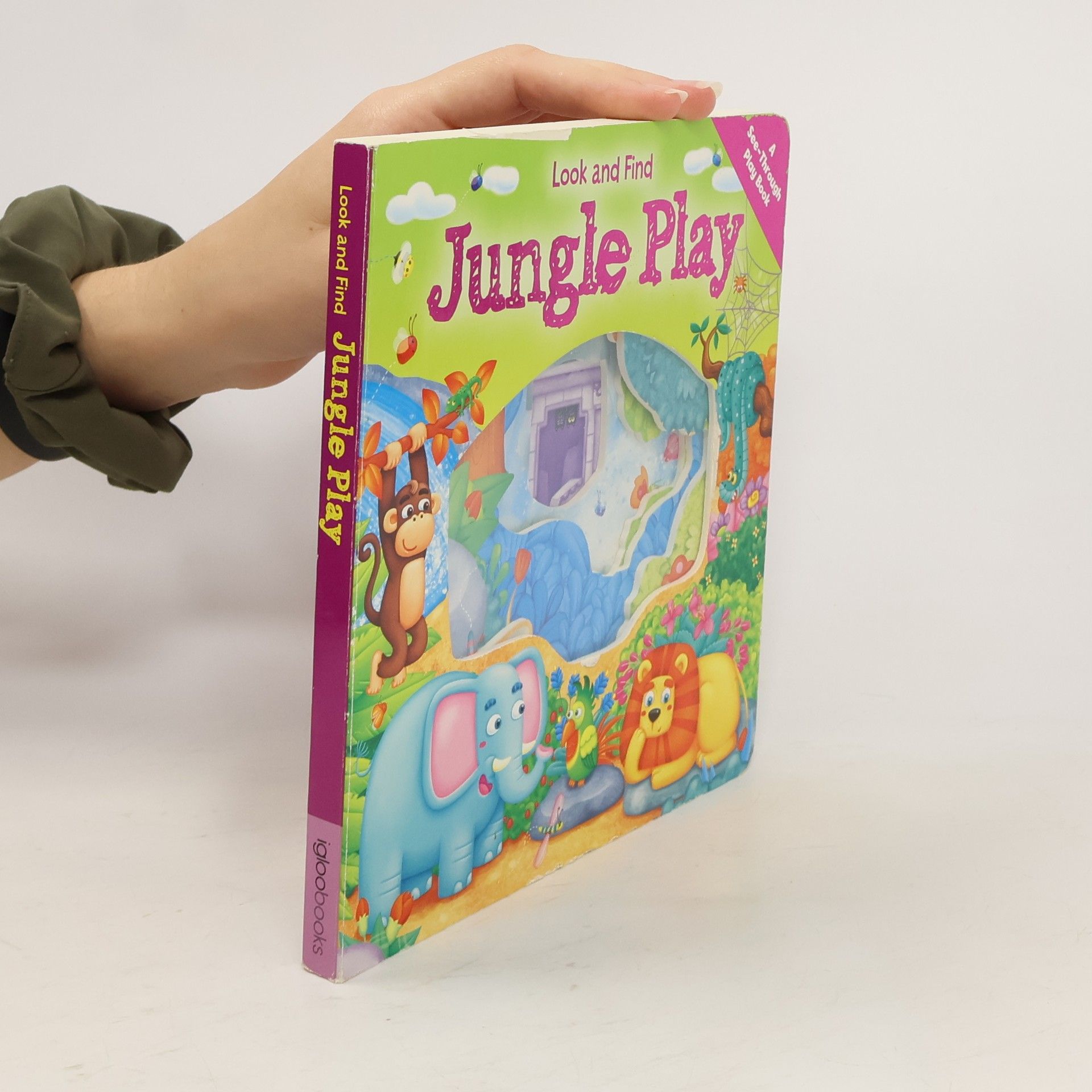 Igloo Books Hide and Seek