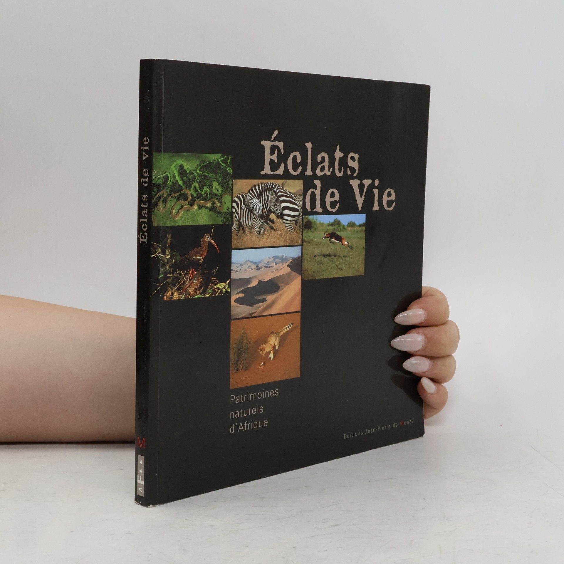 Collectif d'auteurs Éclats de vie