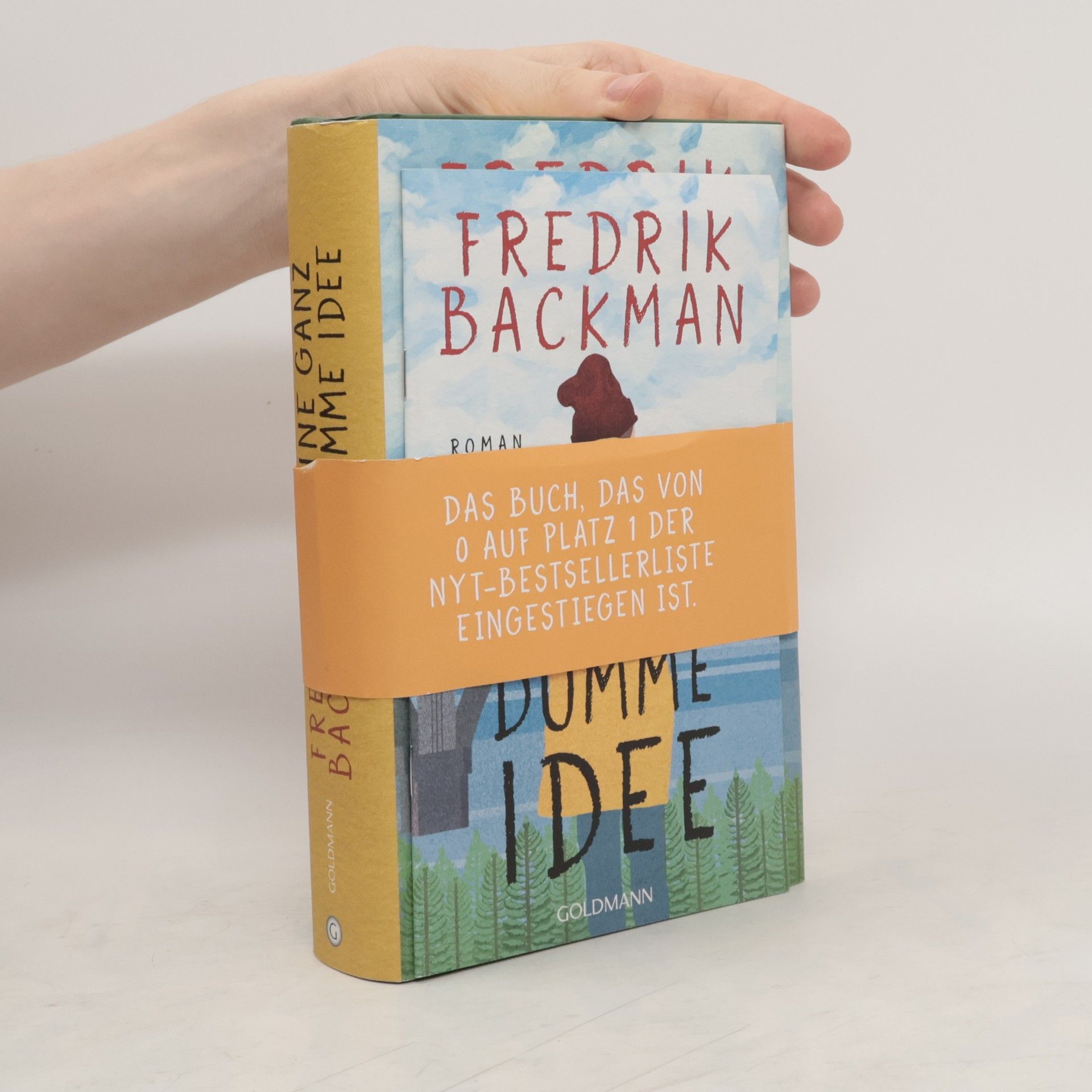 Fredrik Backman Eine Ganz dumme Idee