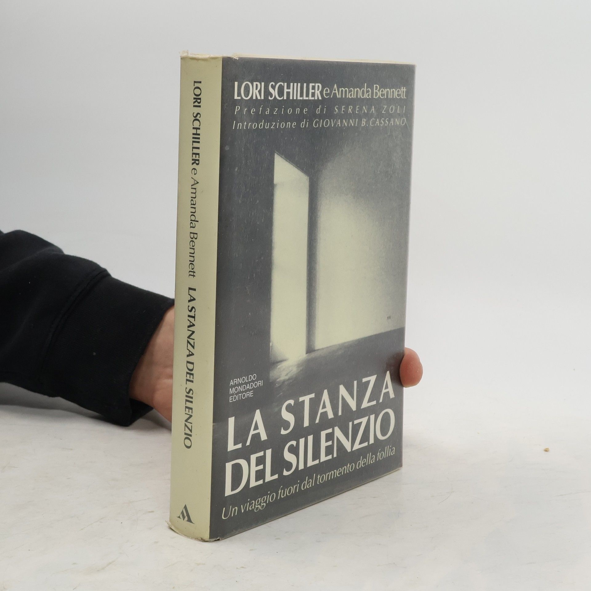 Lori Schiller La stanza del silenzio
