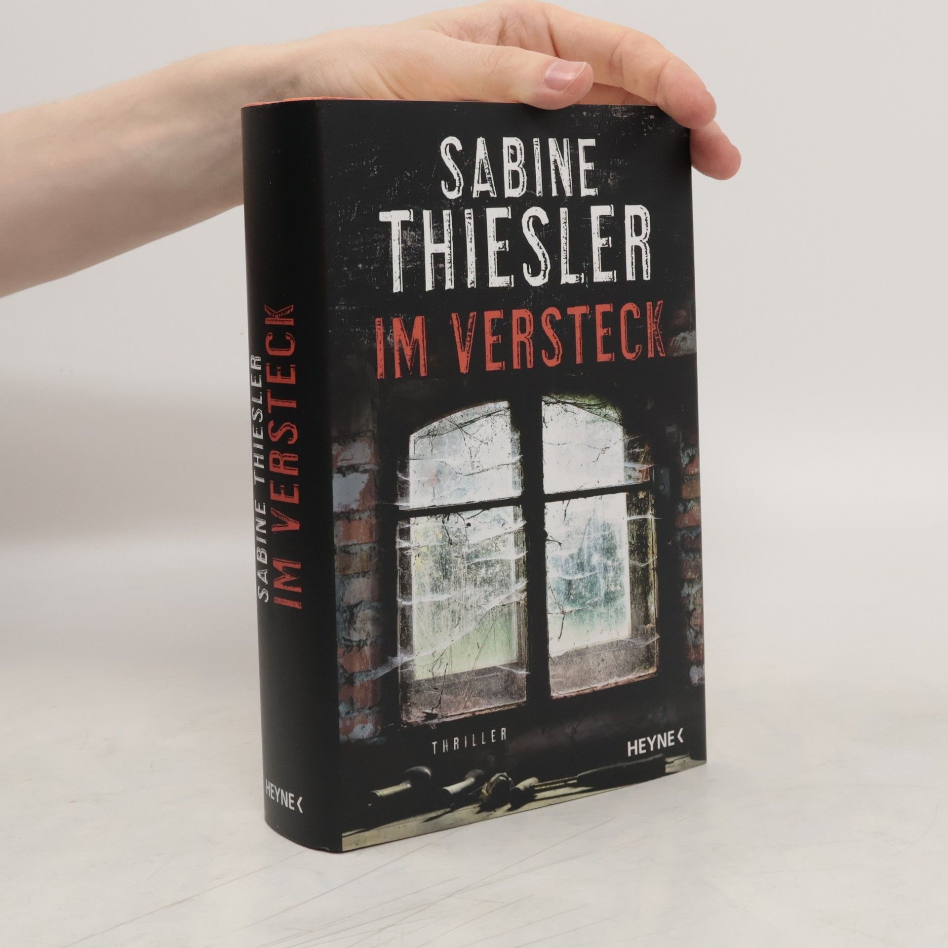 Sabine Thiesler Im Versteck