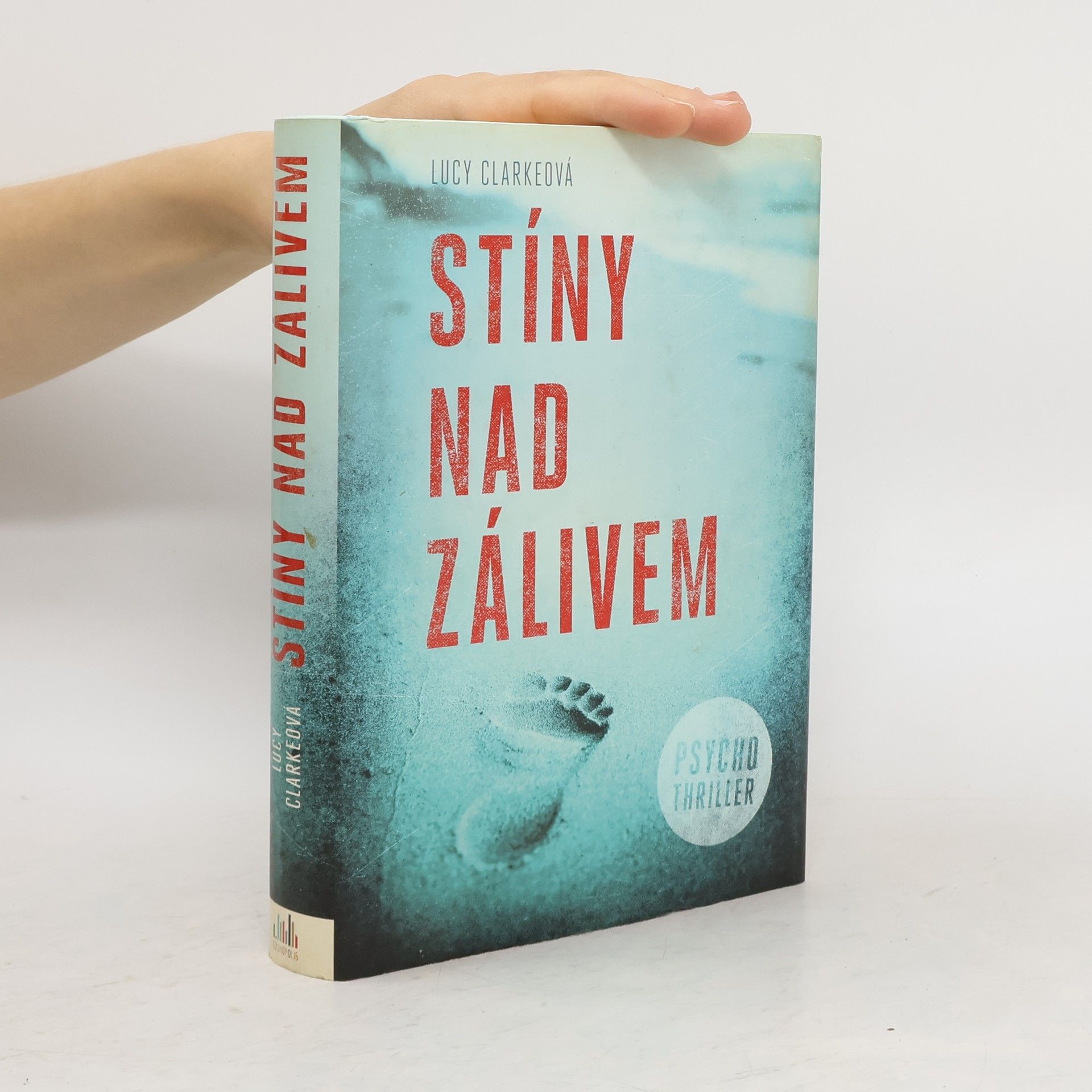 Lucy Clarke Stíny nad zálivem