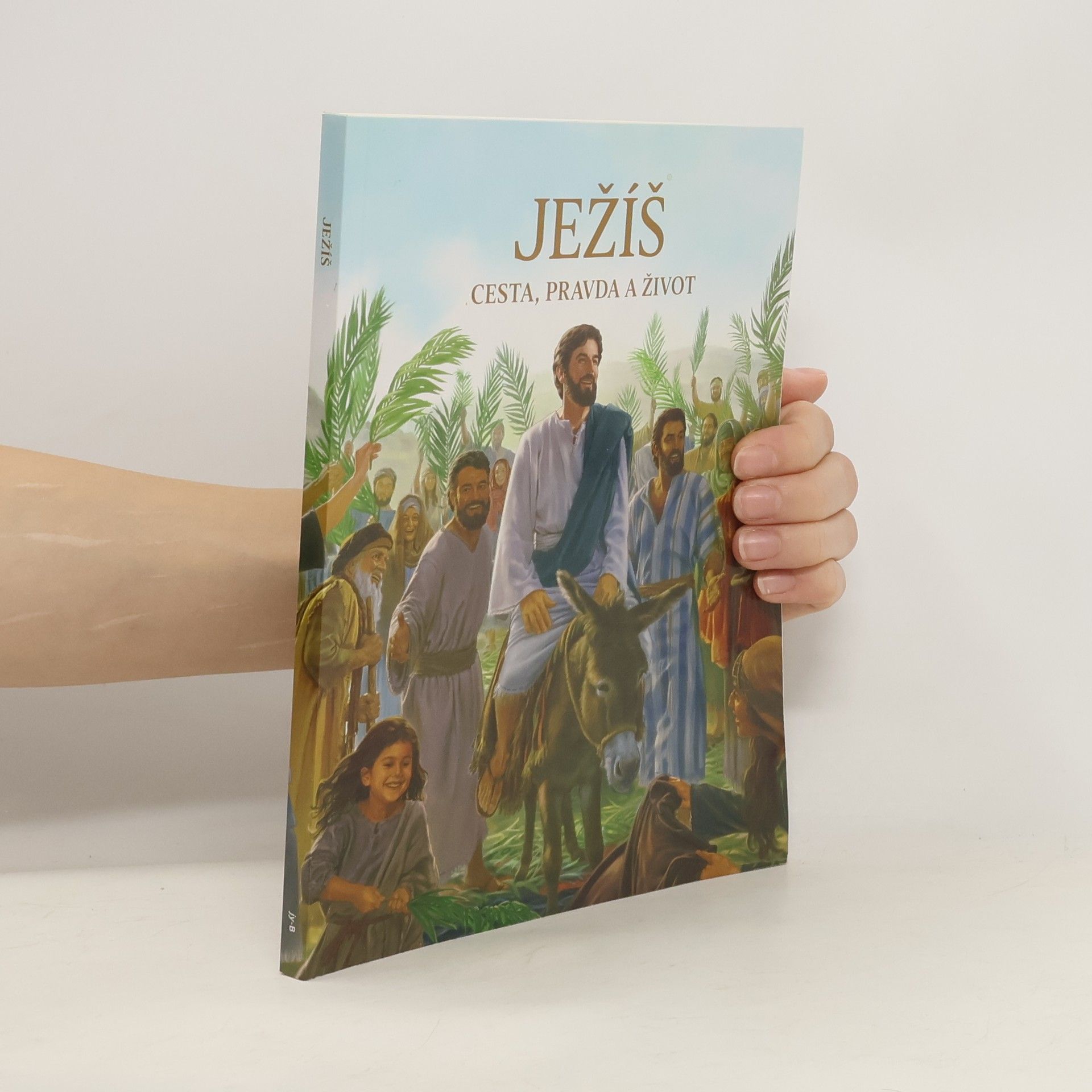 Autorenkollektiv Ježíš, cesta, pravda a život