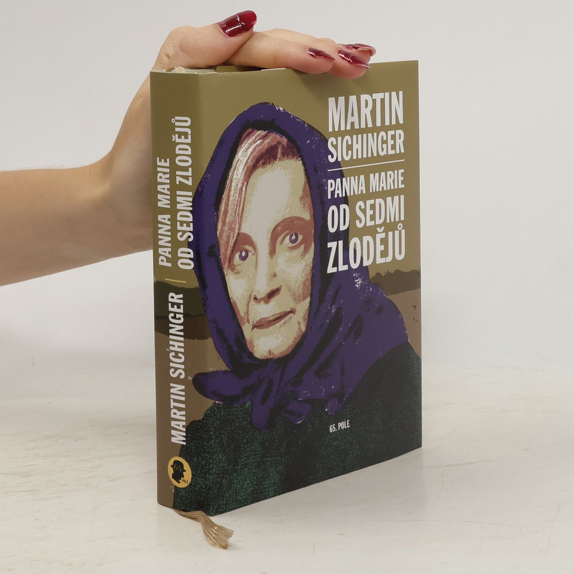 Martin Sichinger Panna Marie od Sedmi zlodějů